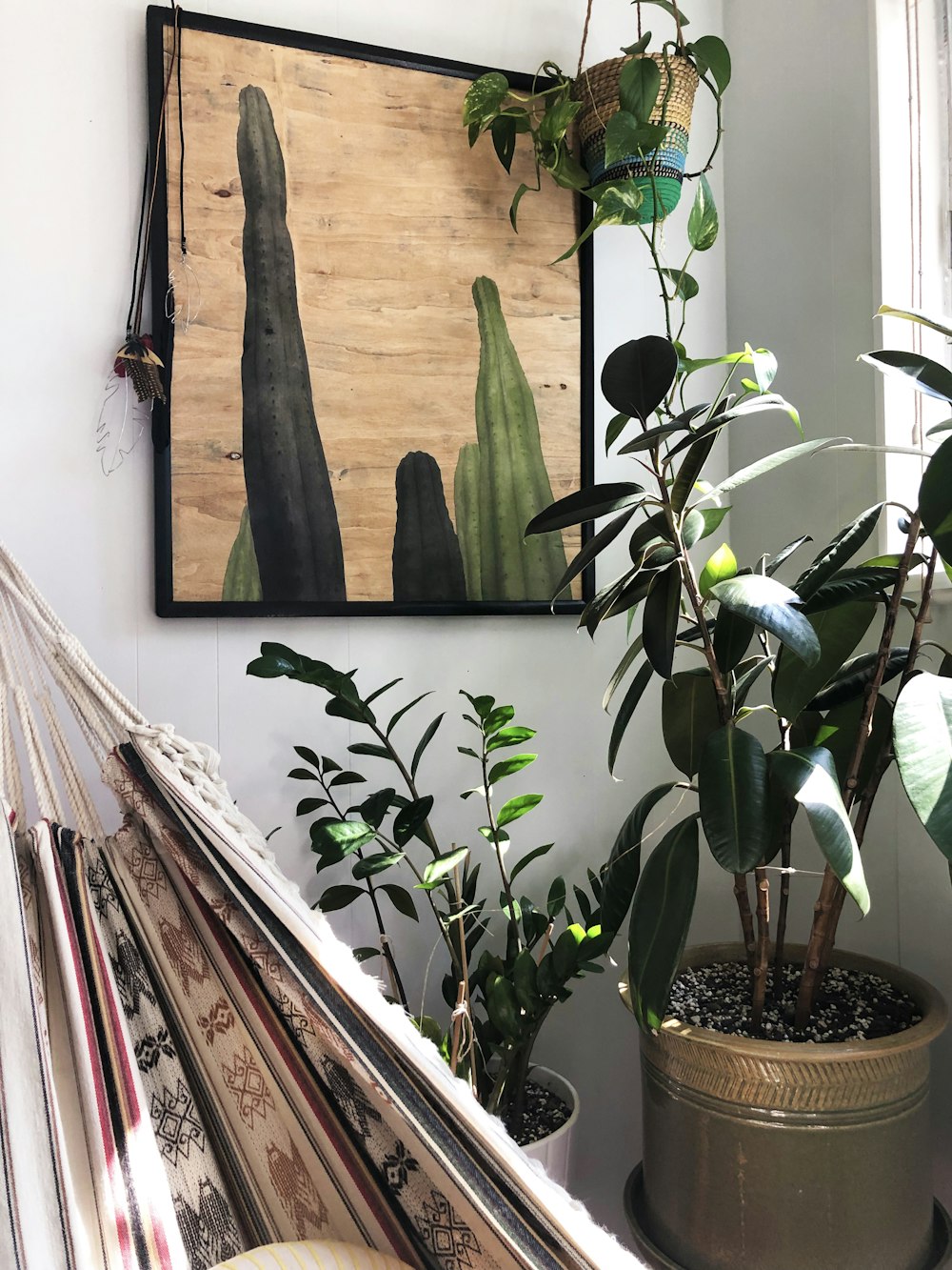 green plant on brown clay pot