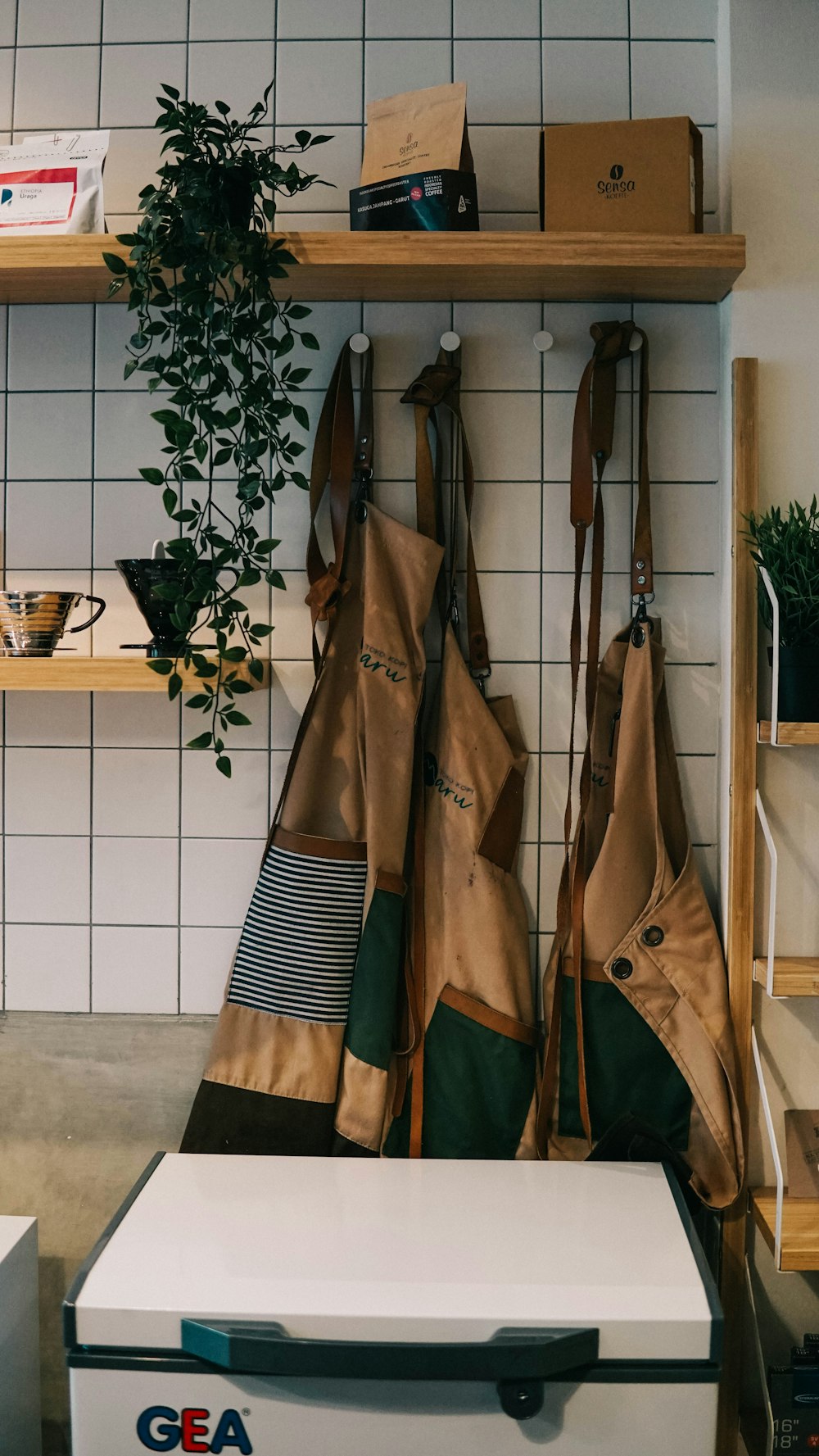 brown and green umbrella near green plant