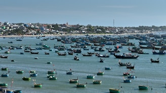 A coastal landscape with numerous fishing boats floating on the calm sea. In the background, a small town with colorful buildings lines the shore under a clear sky. The boats vary in size and are scattered across the water, some with visible red flags.
