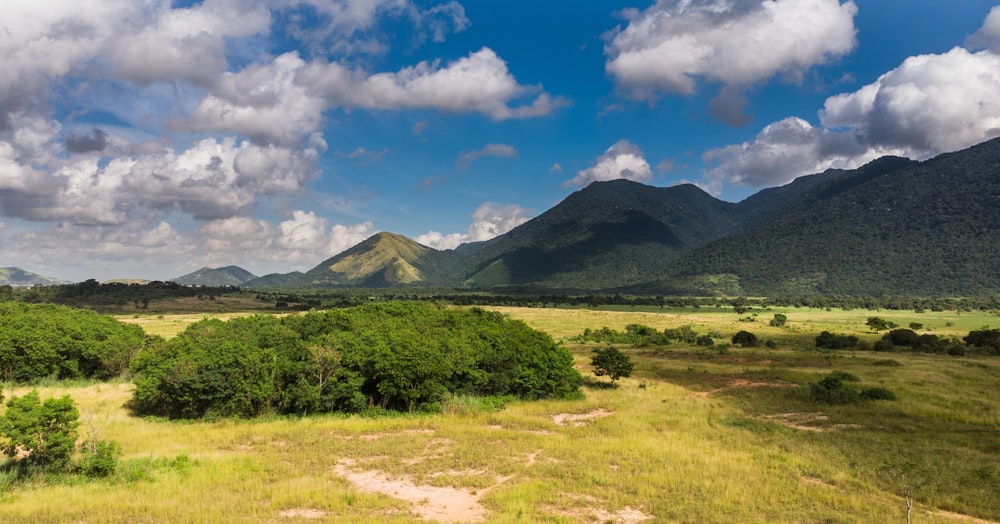 green mountain under blue sky during daytime