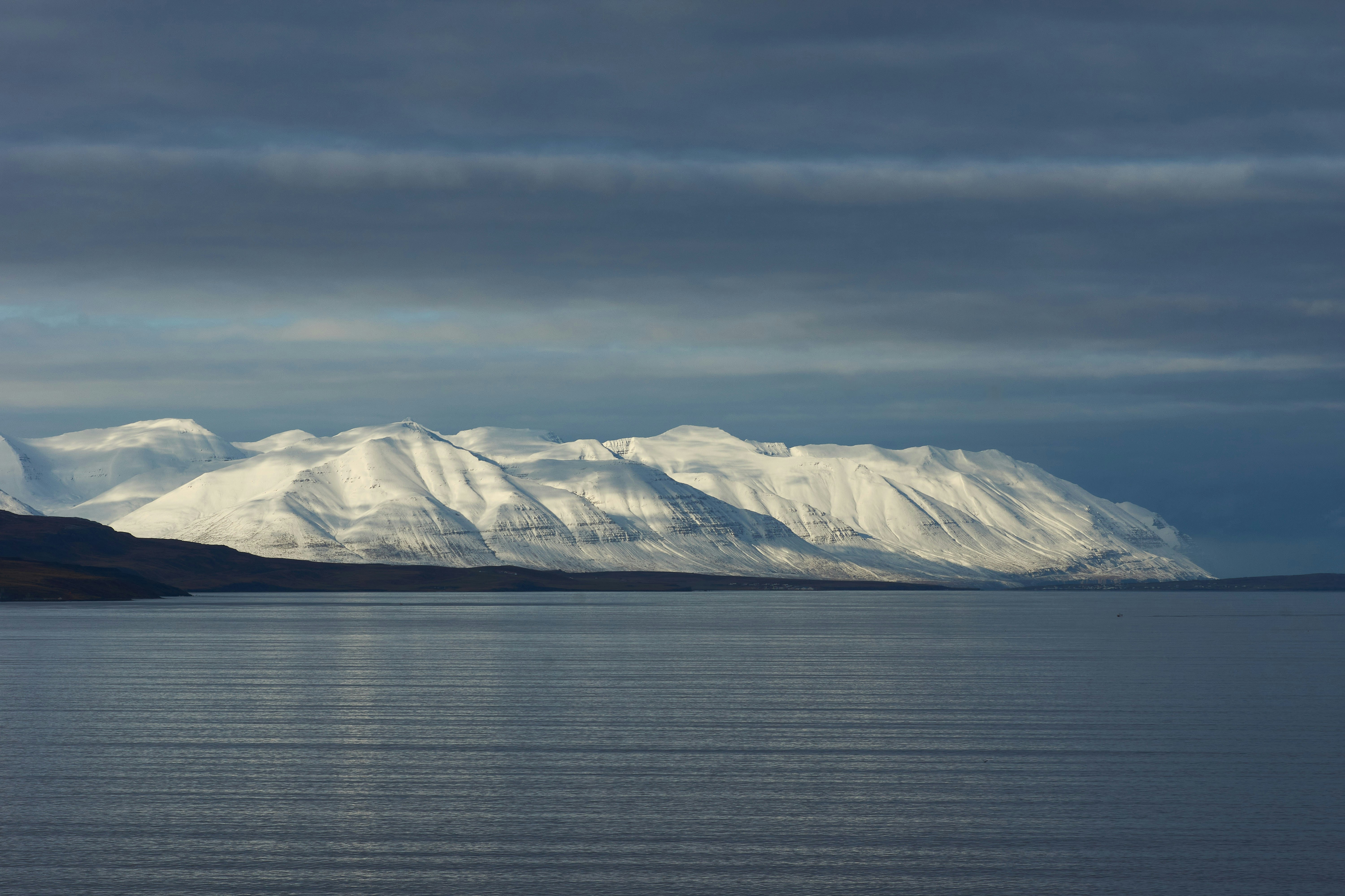 Photo by wolfgang_hasselmann