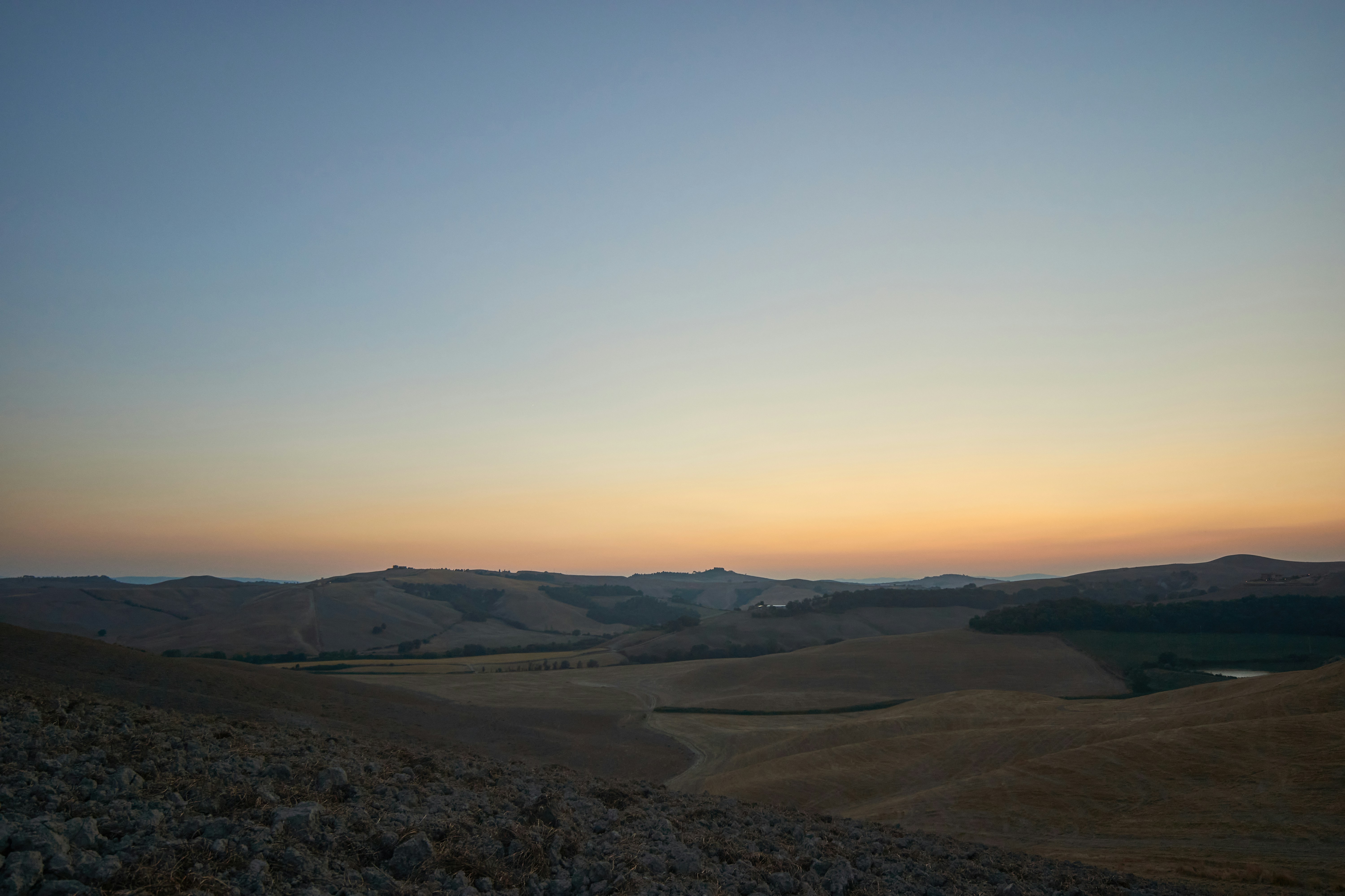 Photo by wolfgang_hasselmann