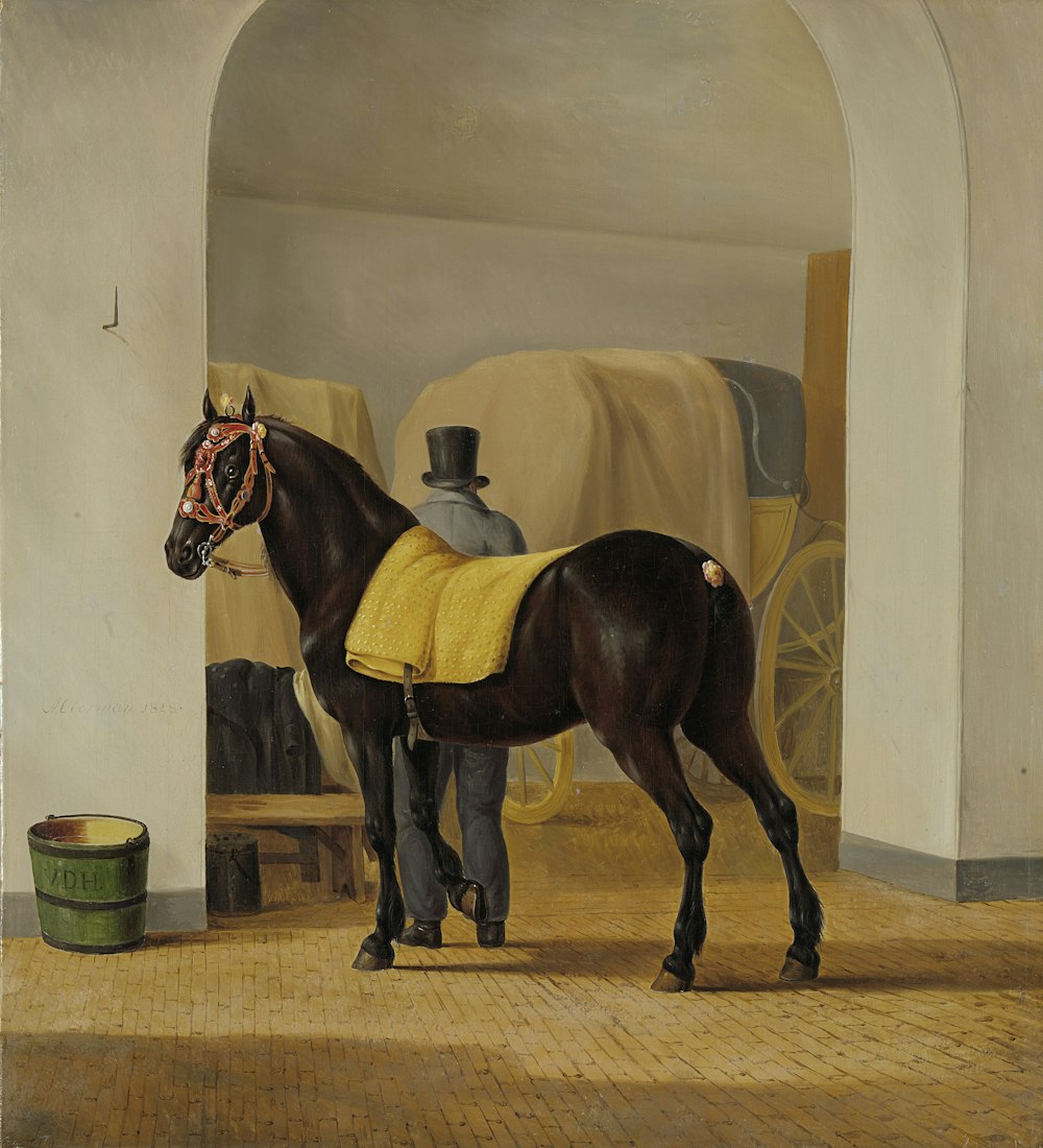 brown horse in white wall paint room