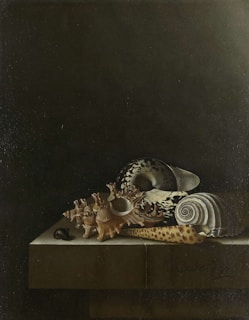 Softly lit photograph of a collection of unique seashells with natural imperfections, evoking a tranquil seaside mood.