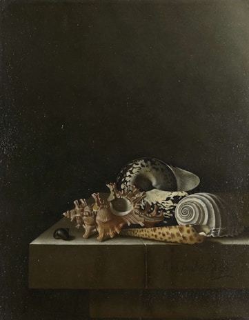 Softly lit photograph of a collection of unique seashells with natural imperfections, evoking a tranquil seaside mood.