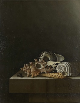 A collection of various seashells is arranged on a dark-colored surface, illuminated by a soft, subdued light. The shells vary in shape and texture, including spiral and conical forms, each displaying intricate natural patterns and details.