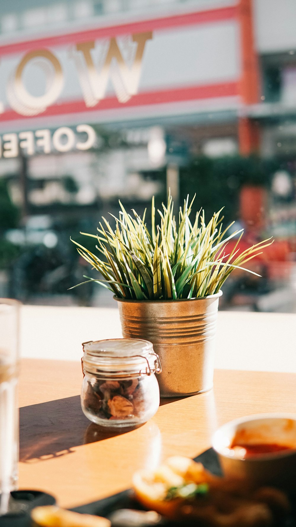 plante verte dans un pot en argile brune