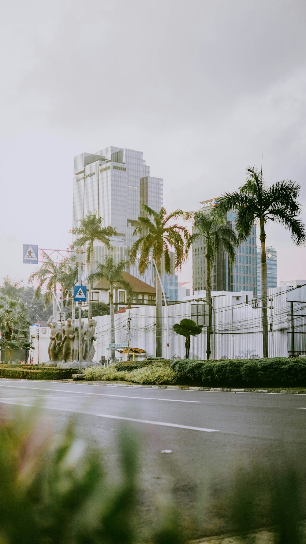 green palm trees near white concrete building during daytime