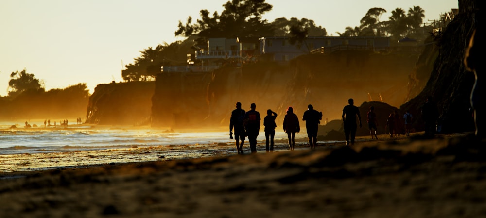 silhouette of people standing on seashore during daytime