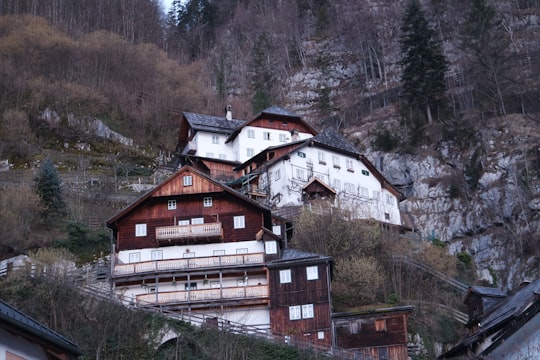 brown and white concrete house near green trees during daytime in Hallstatt Austria Austria