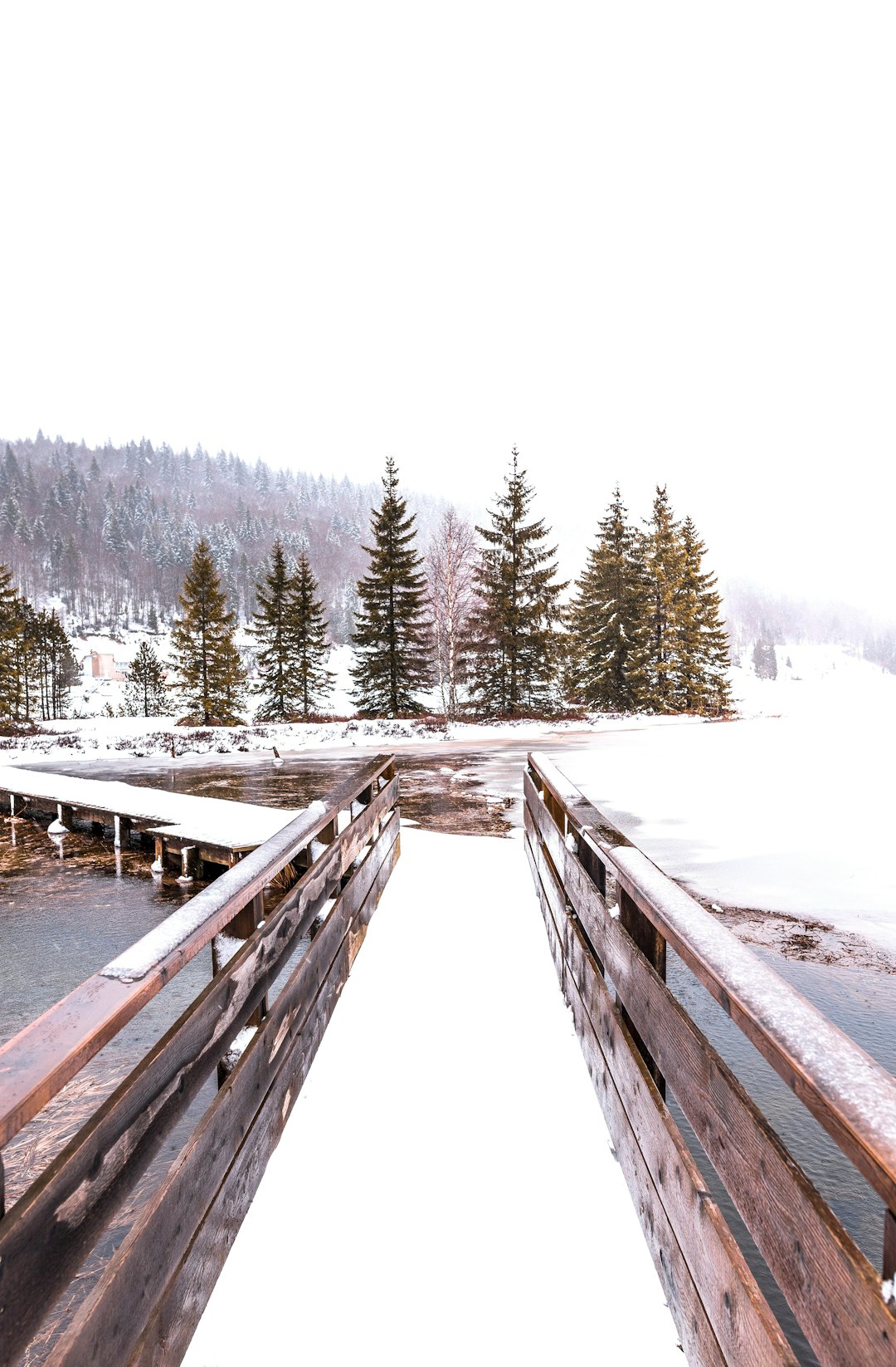 photo of Les Rousses Bridge near Belvédère des Quatre Lacs