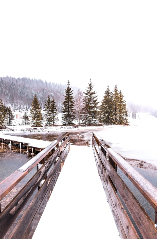 grayscale photo of wooden dock surrounded by trees in Les Rousses France