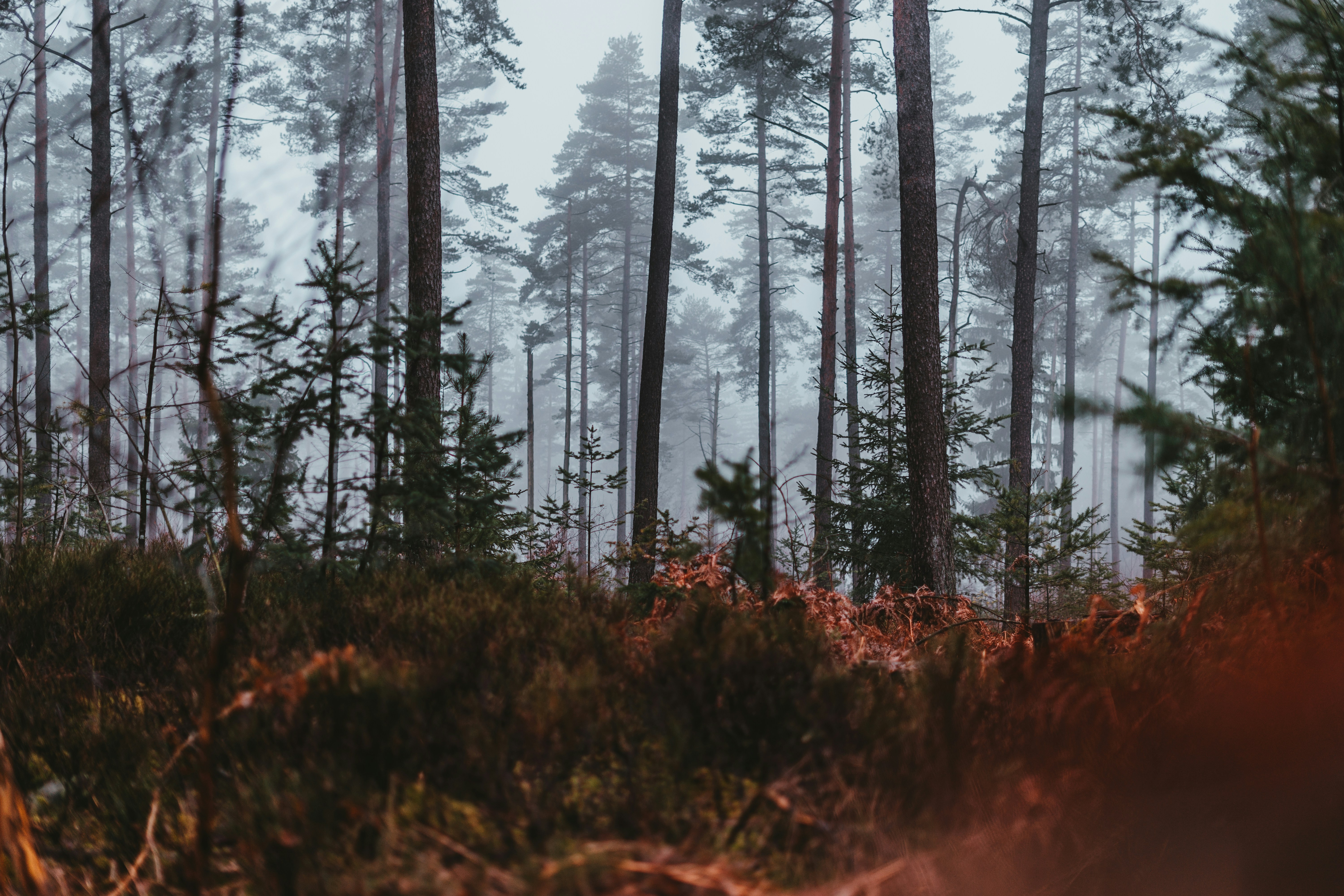 Photo by julianhochgesang