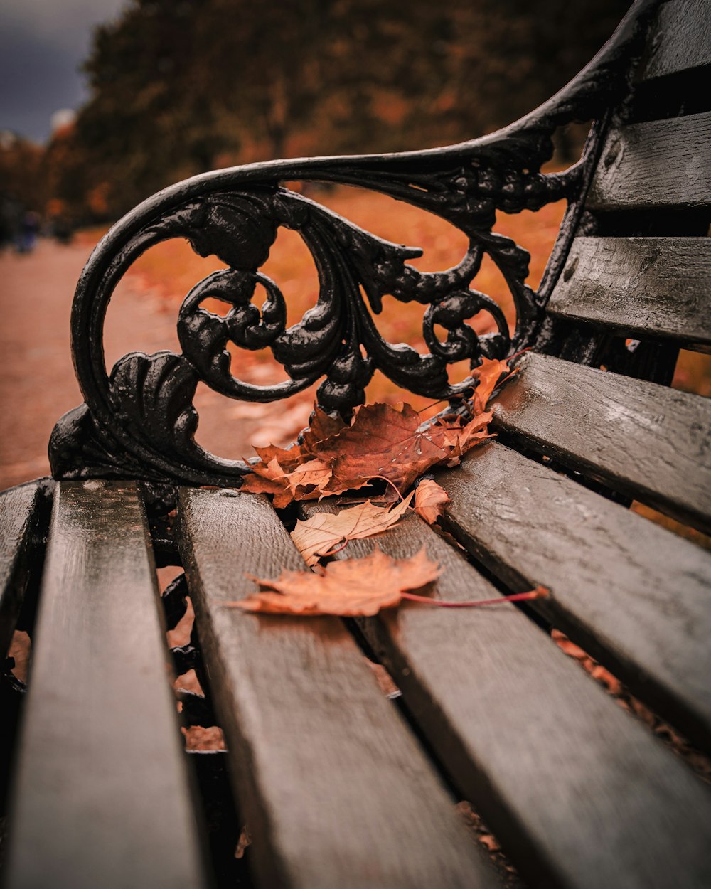 brown wooden bench with dried leaves on top