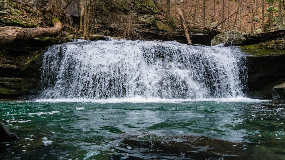 water falls near brown trees during daytime