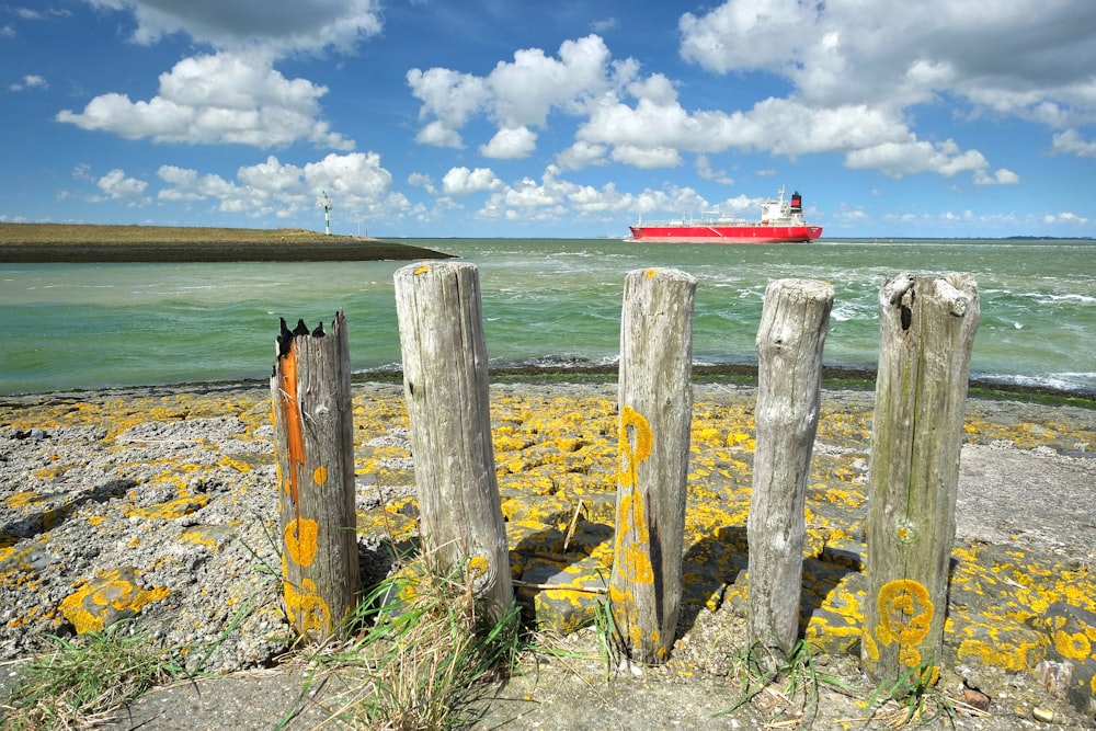 brown wooden fence on green grass field near body of water during daytime