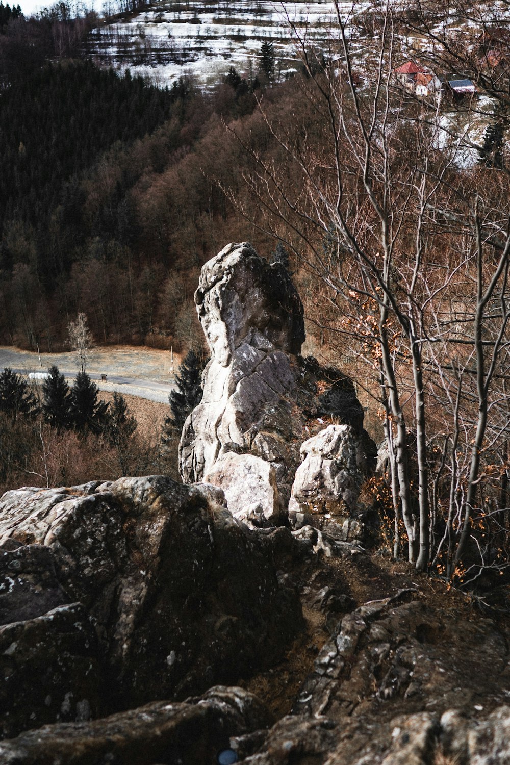 gray rock formation on brown field during daytime