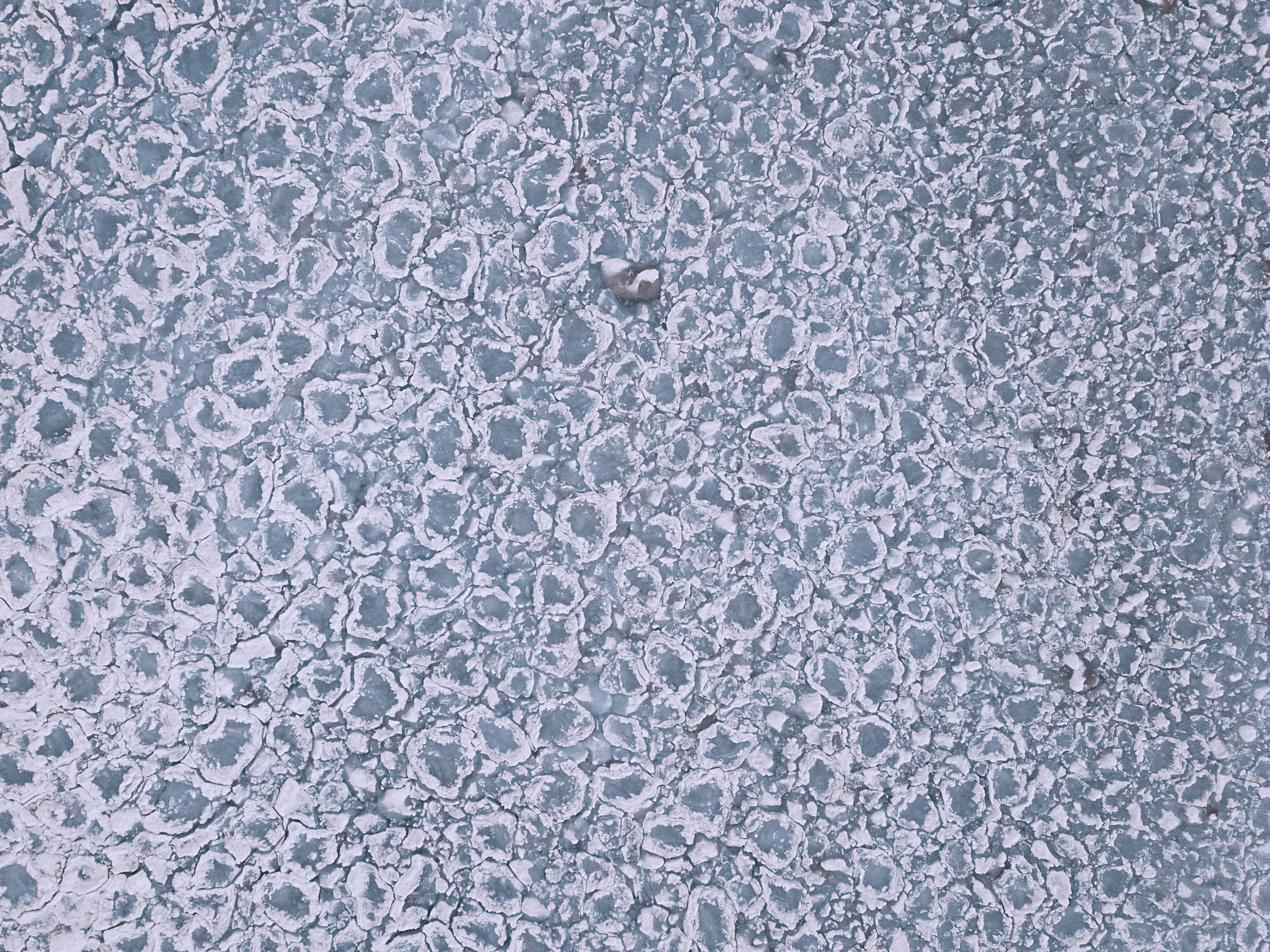 Blue and white floral textile photo – Free Grey Image on Unsplash