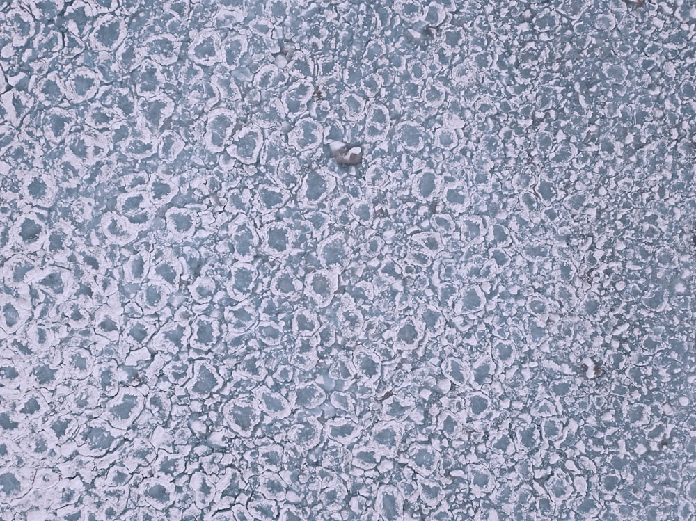 Blue and white floral textile photo – Free Grey Image on Unsplash