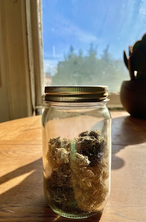 Soft sunlight filtering through a glass jar filled with plant-based supplements on a beige linen cloth.