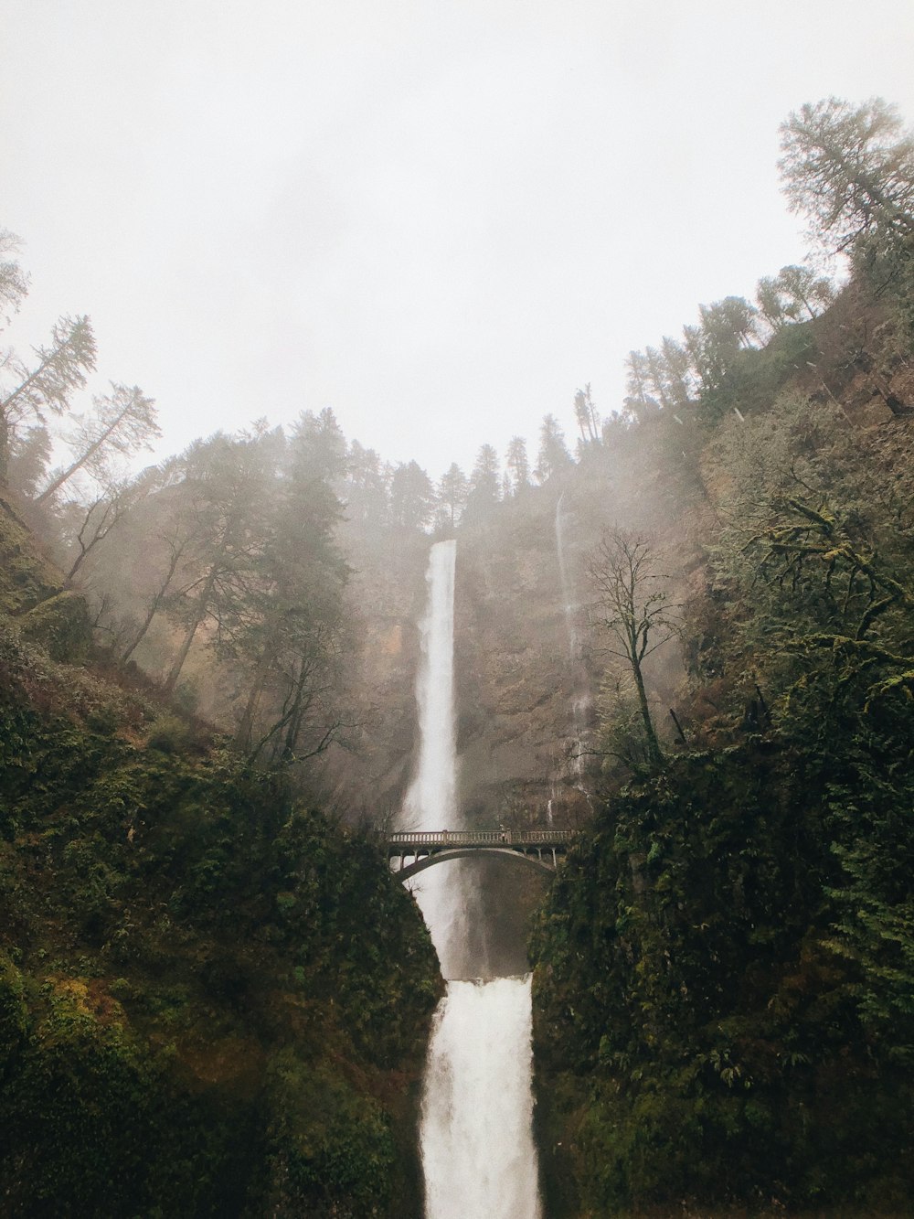 waterfalls in the middle of forest