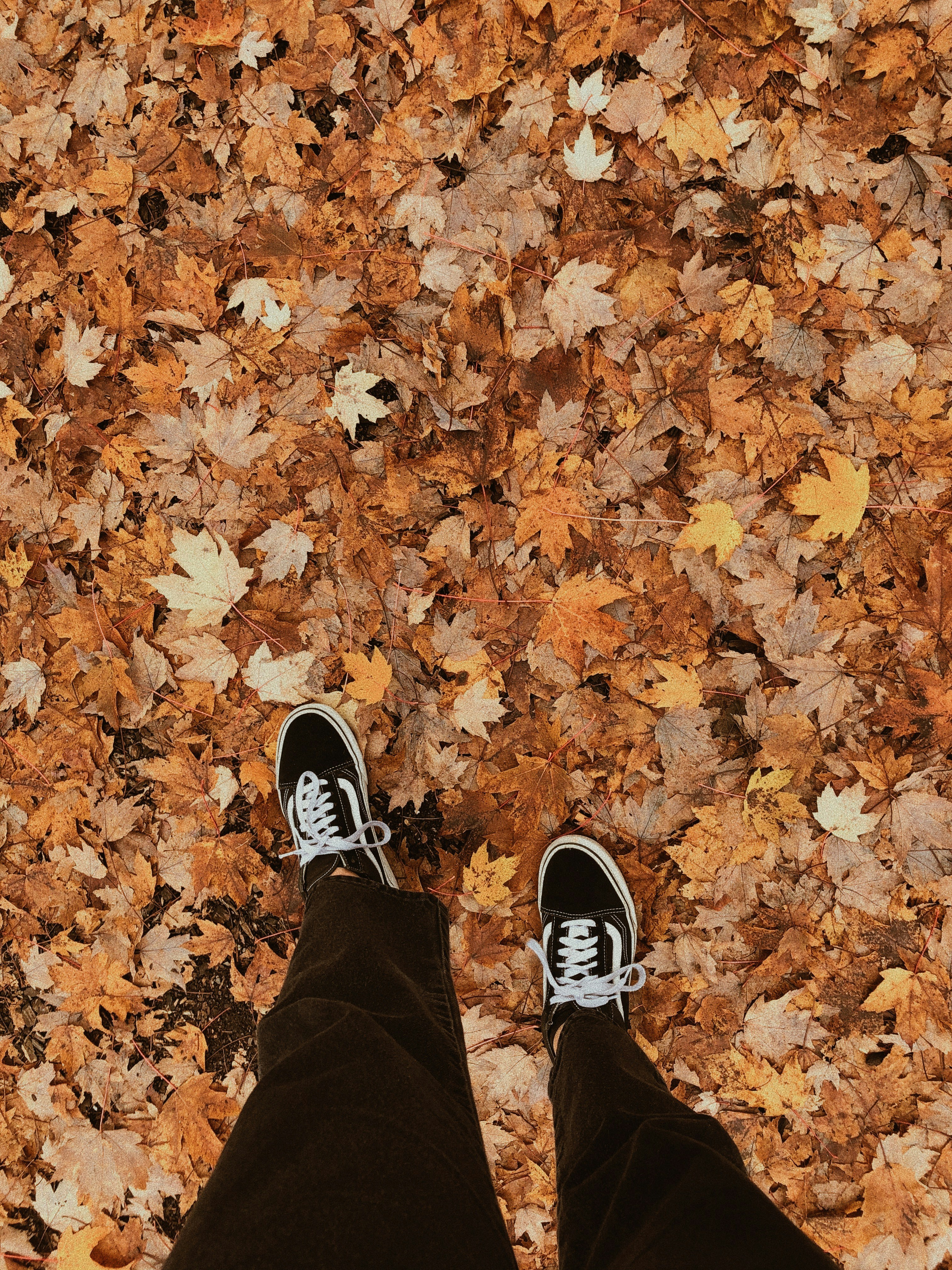 Photo by elizabethfrench