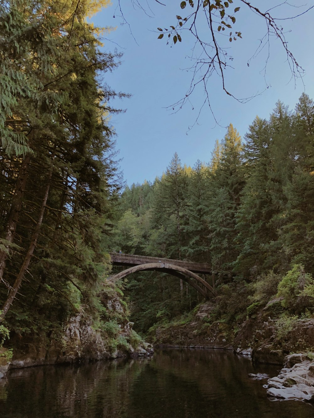 brown wooden bridge over river between green trees during daytime