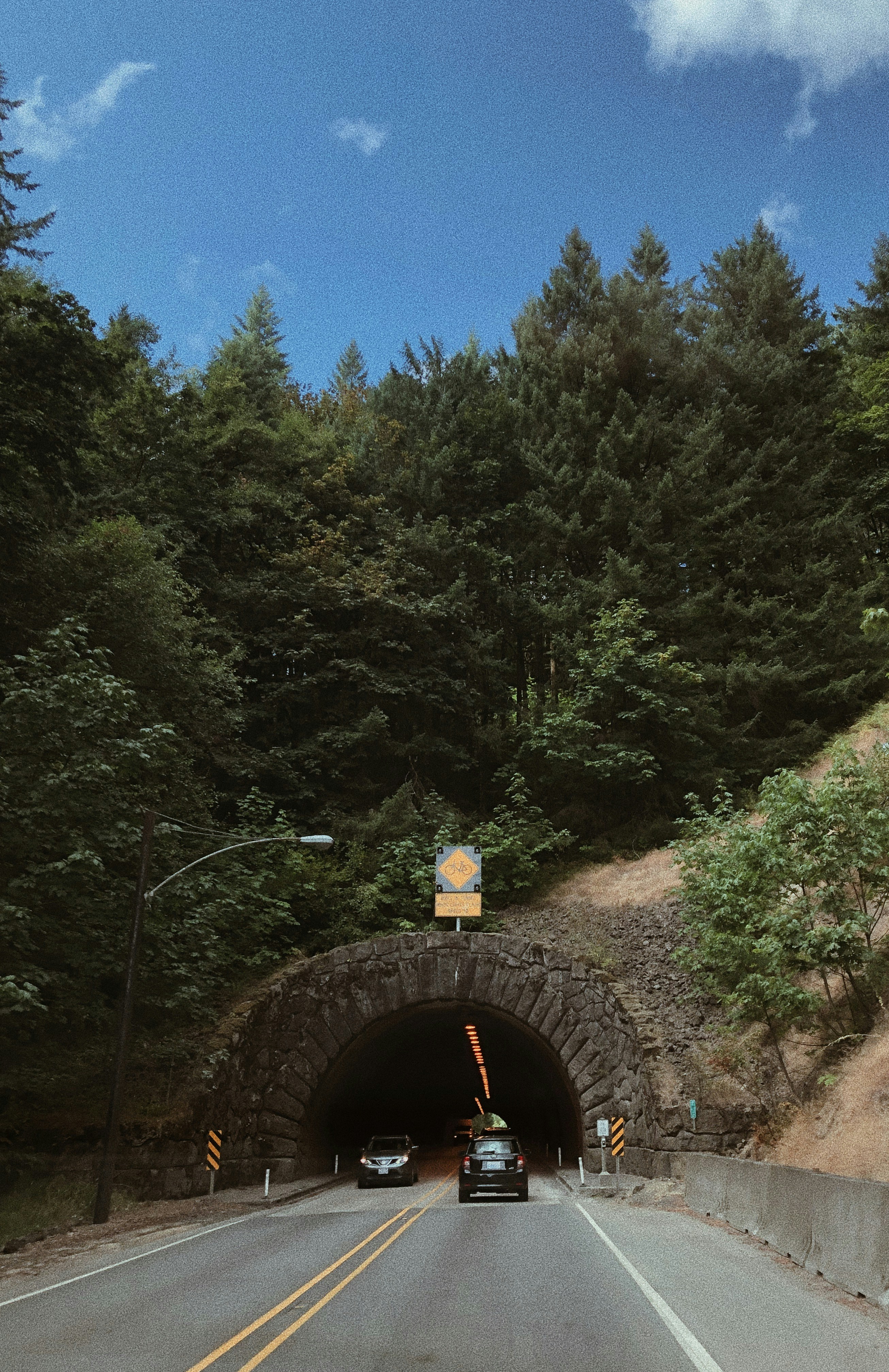 昼間の青空に緑の木々