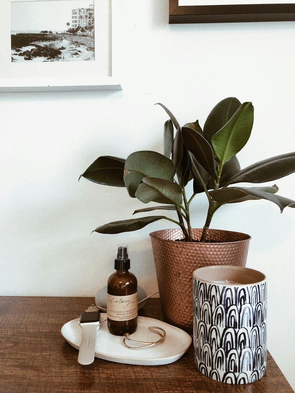 green plant in brown ceramic vase