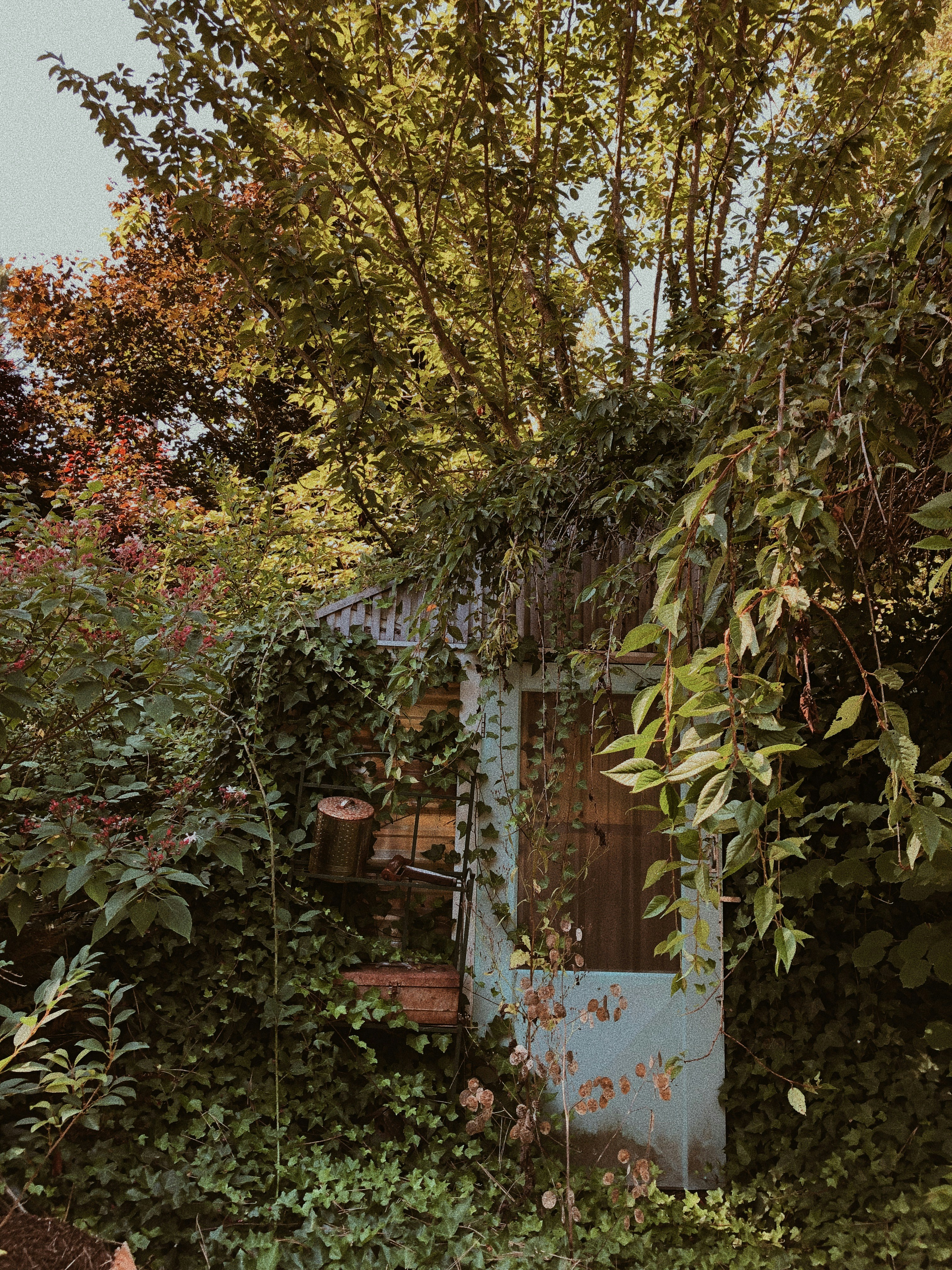white and brown wooden house near green and brown trees during daytime
