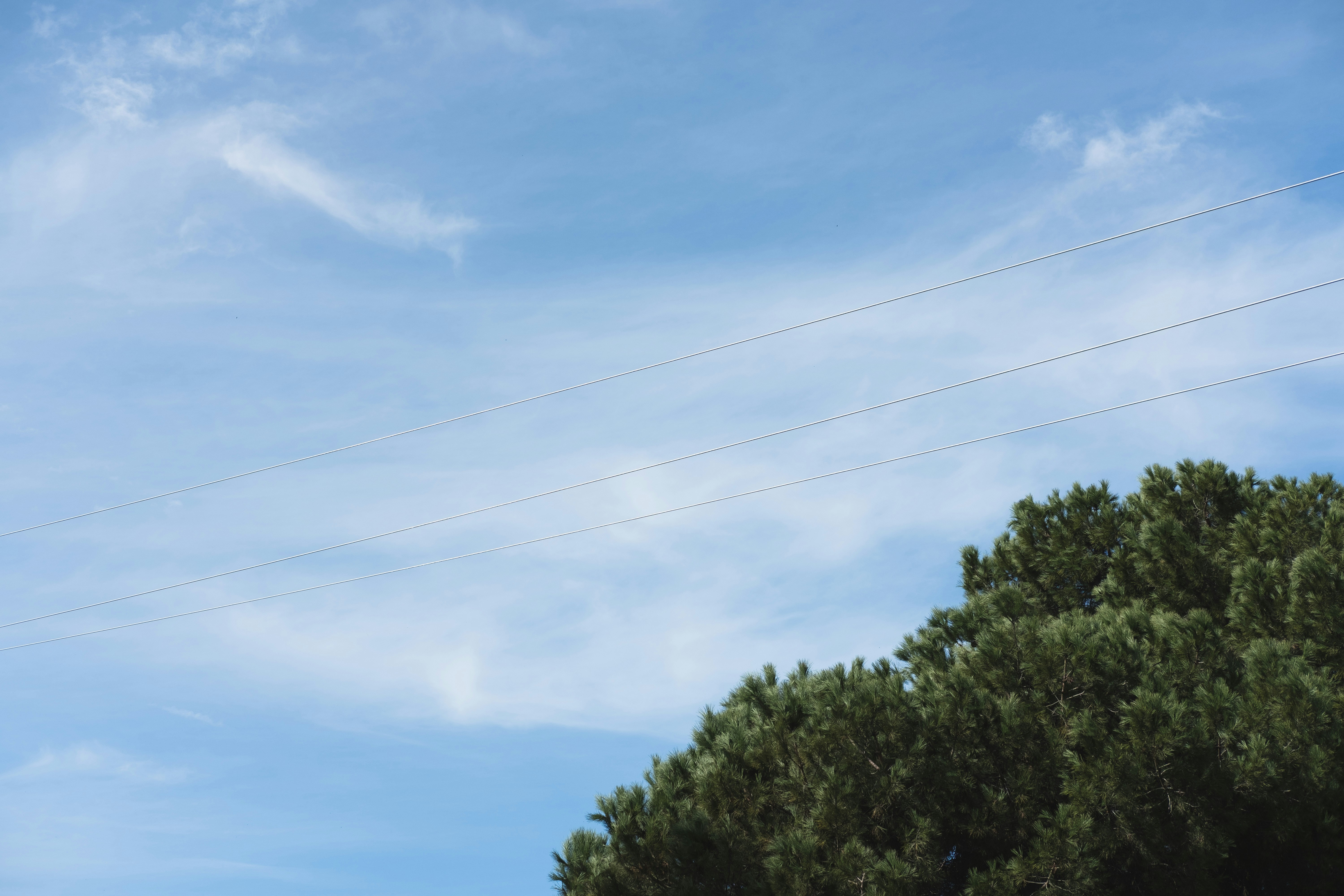 Photo by charliedeets