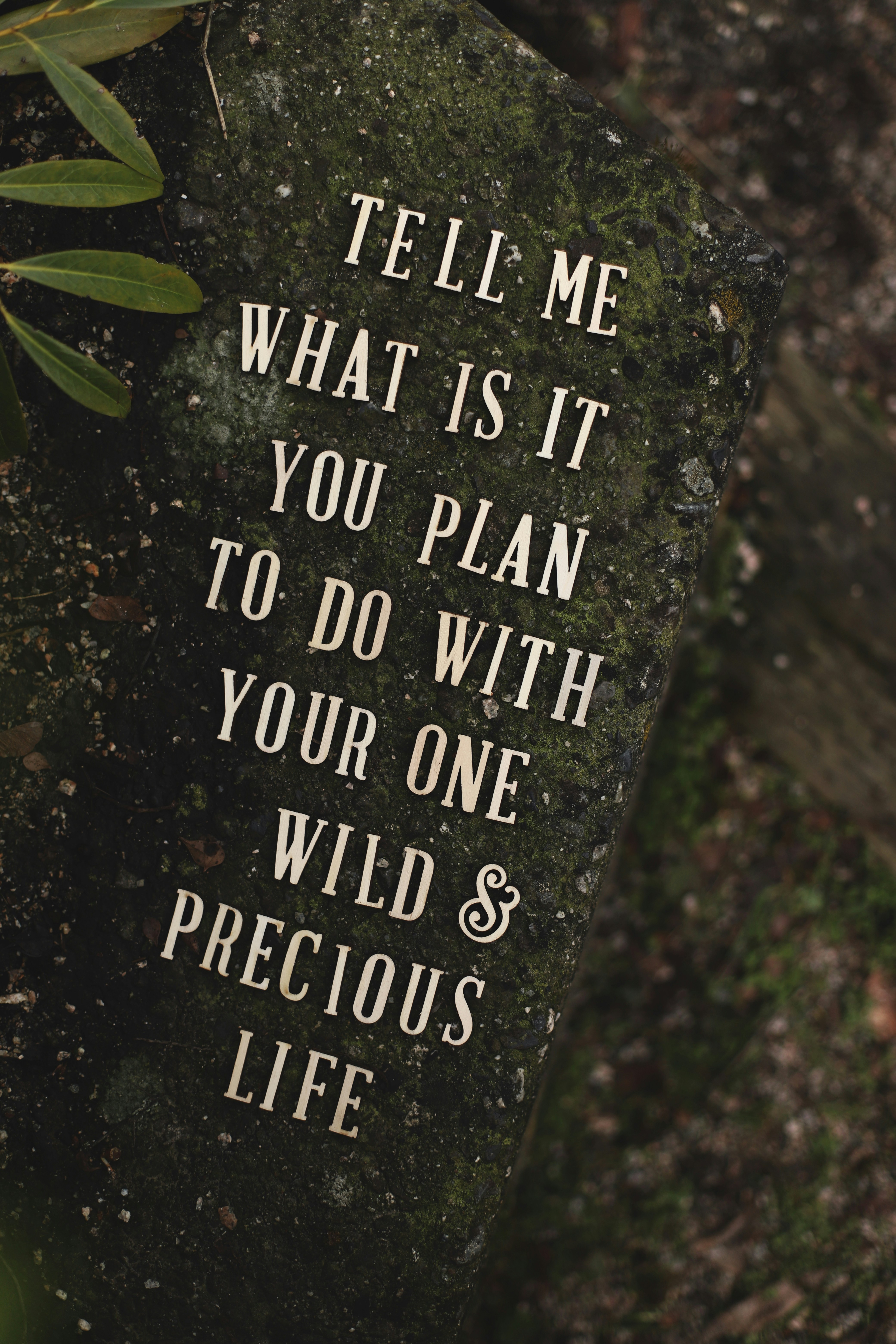 own life, ownership, motivation 