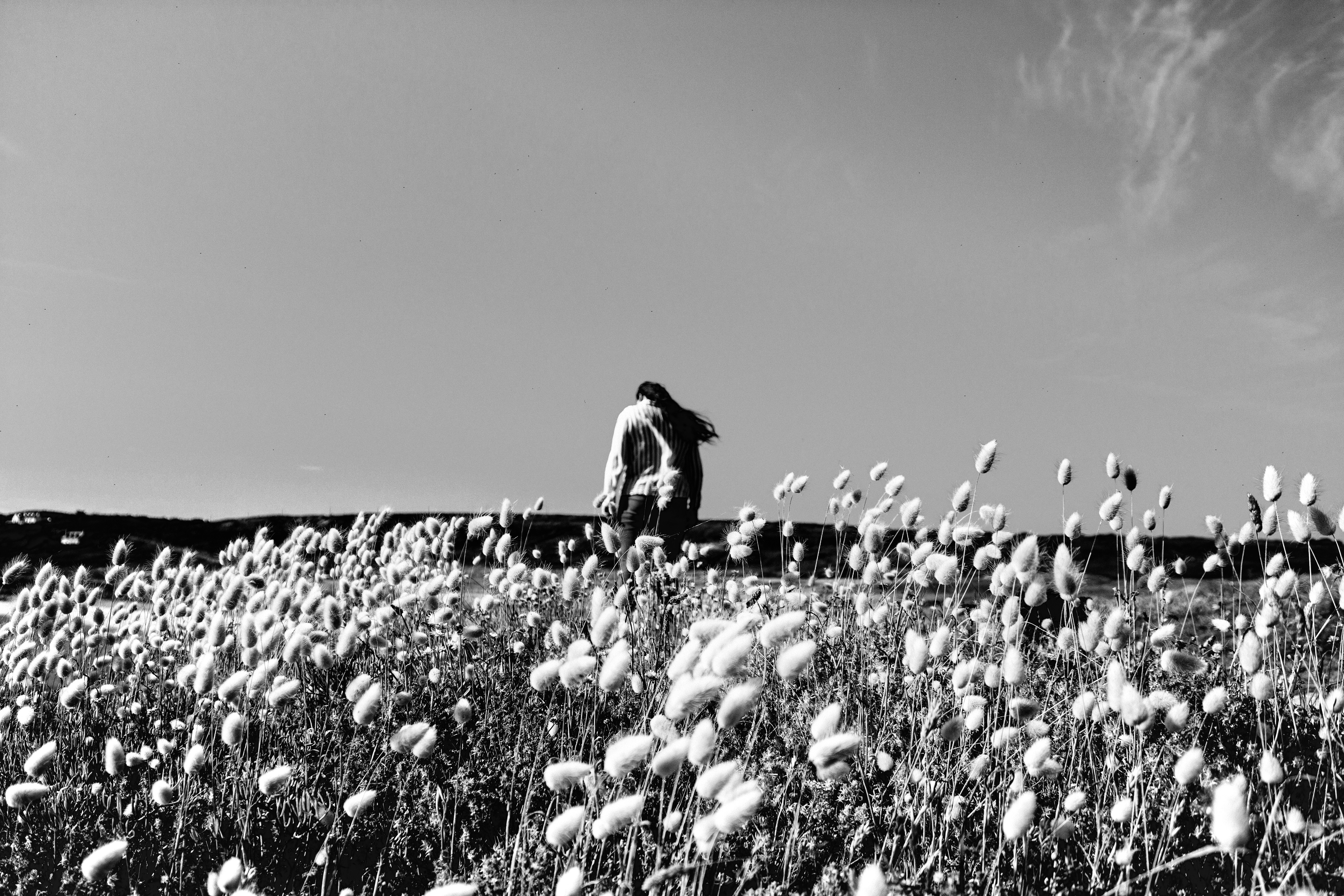 Photo by hannahrdg