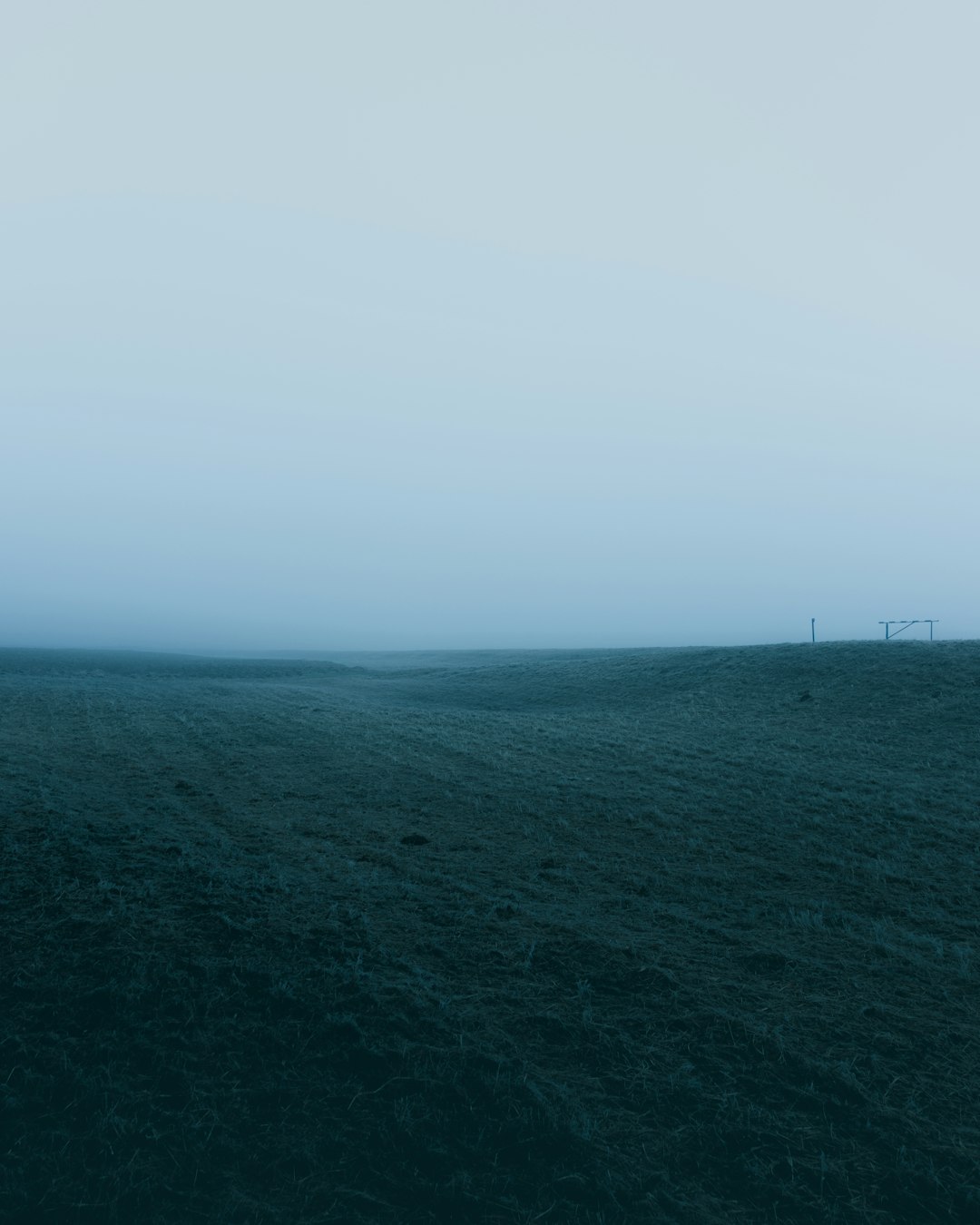 green grass field under white sky