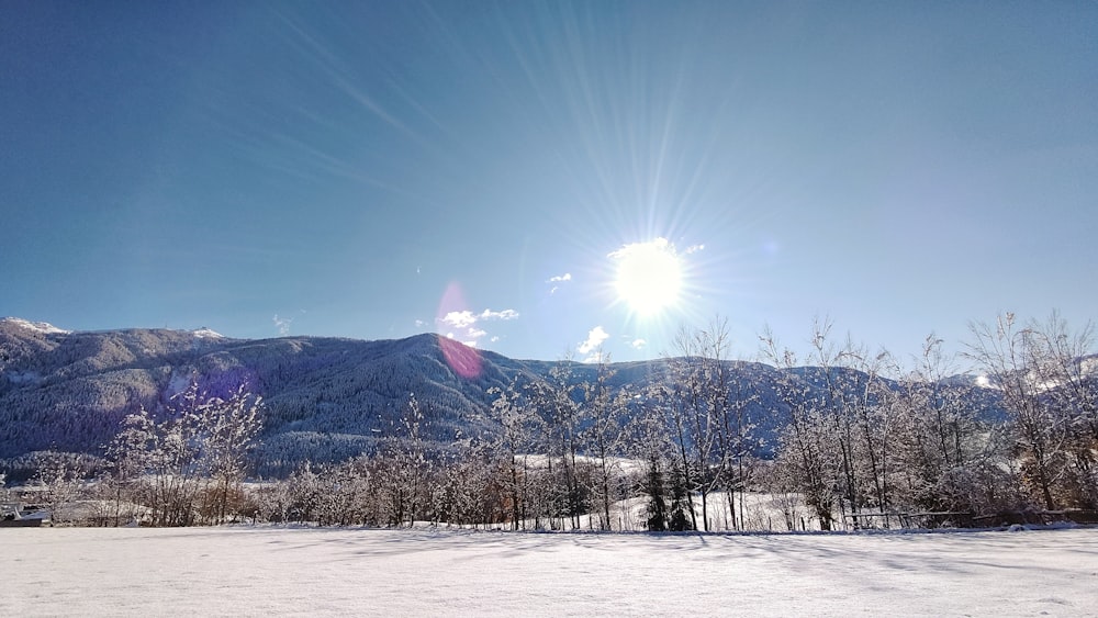 trees and mountains under blue sky during daytime