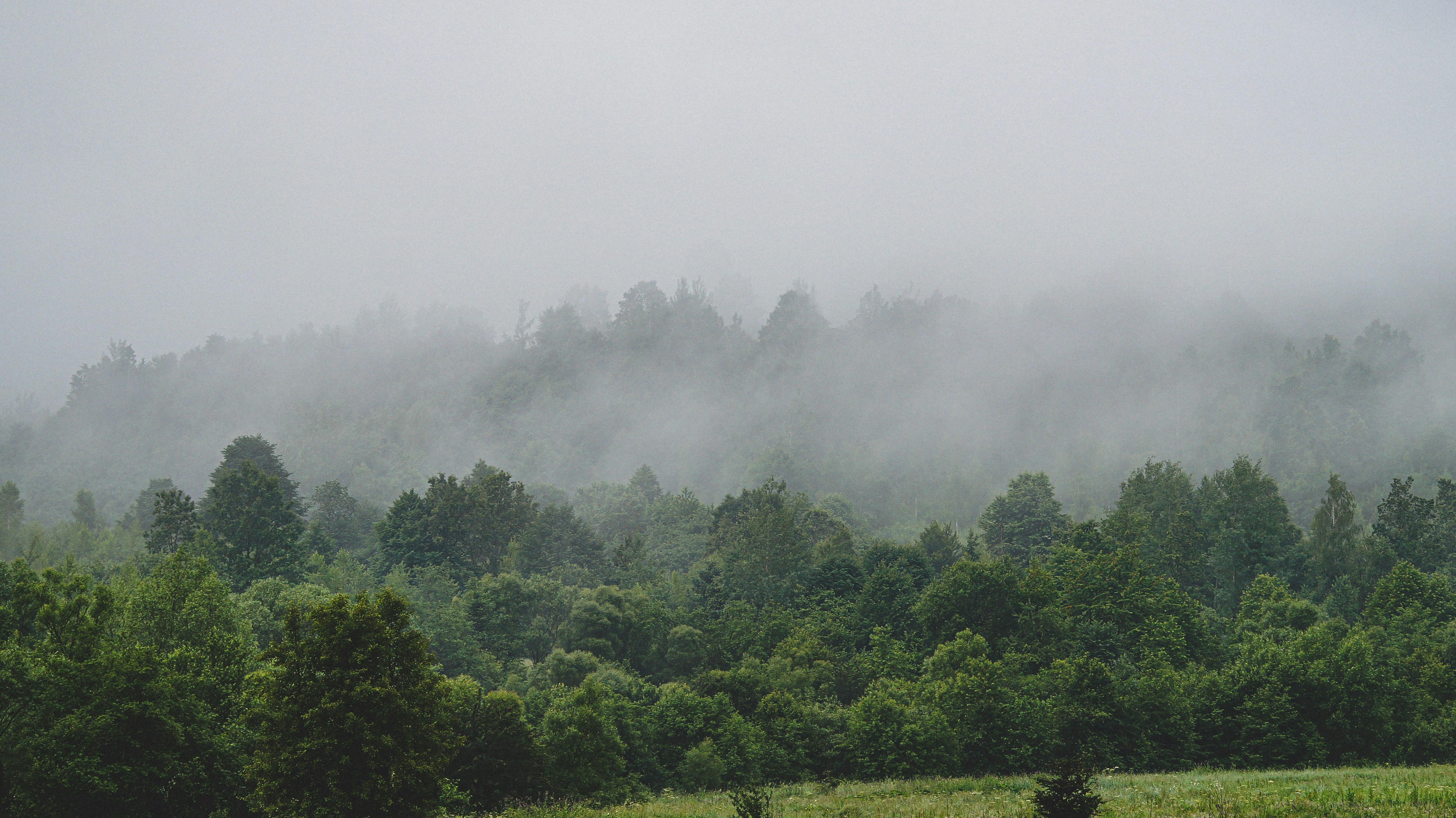 Photo by sam380967903116