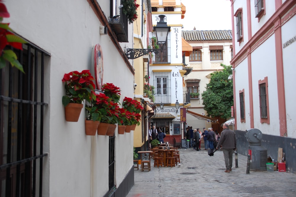 people walking on street during daytime