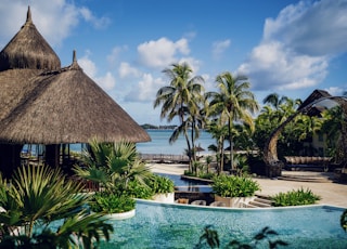 brown nipa hut near swimming pool during daytime