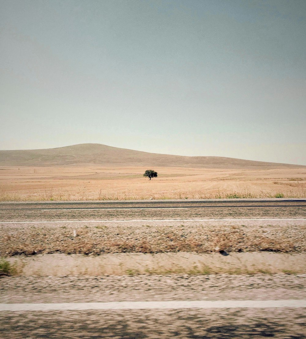 brown field near brown field under blue sky during daytime