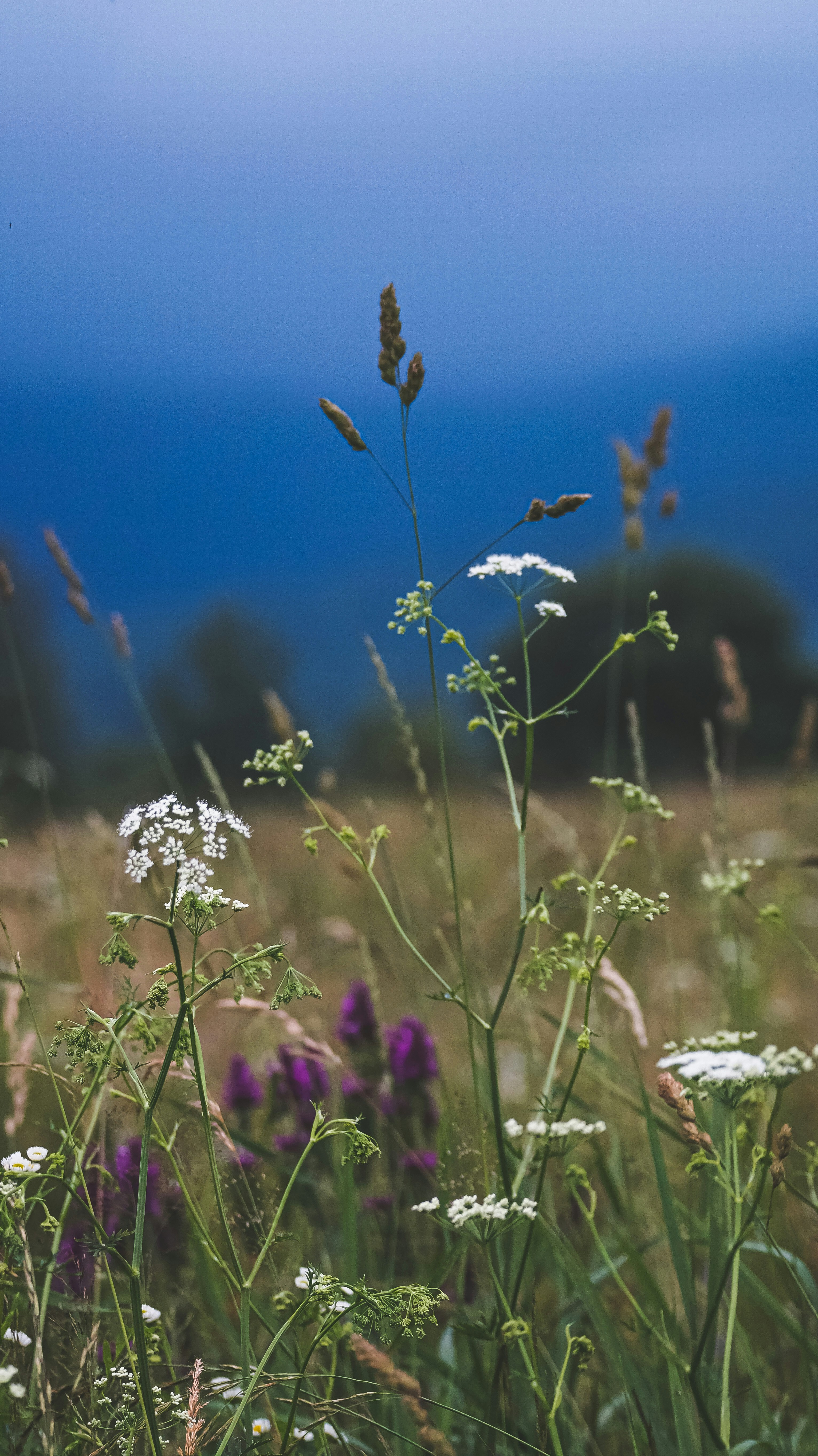 Photo by sam380967903116