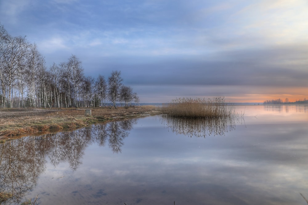 green trees beside body of water under cloudy sky during daytime