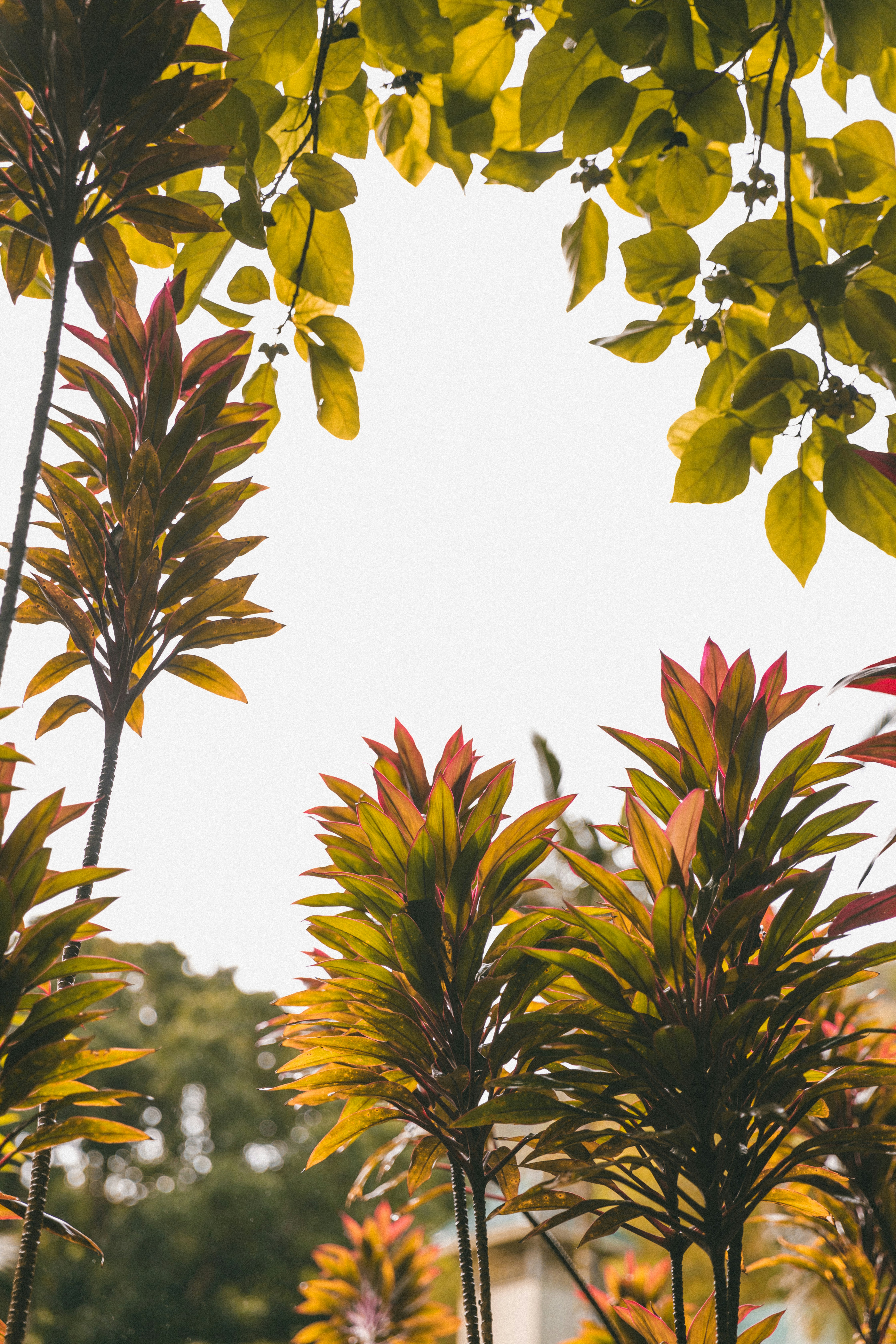 Photo by traviscolbert