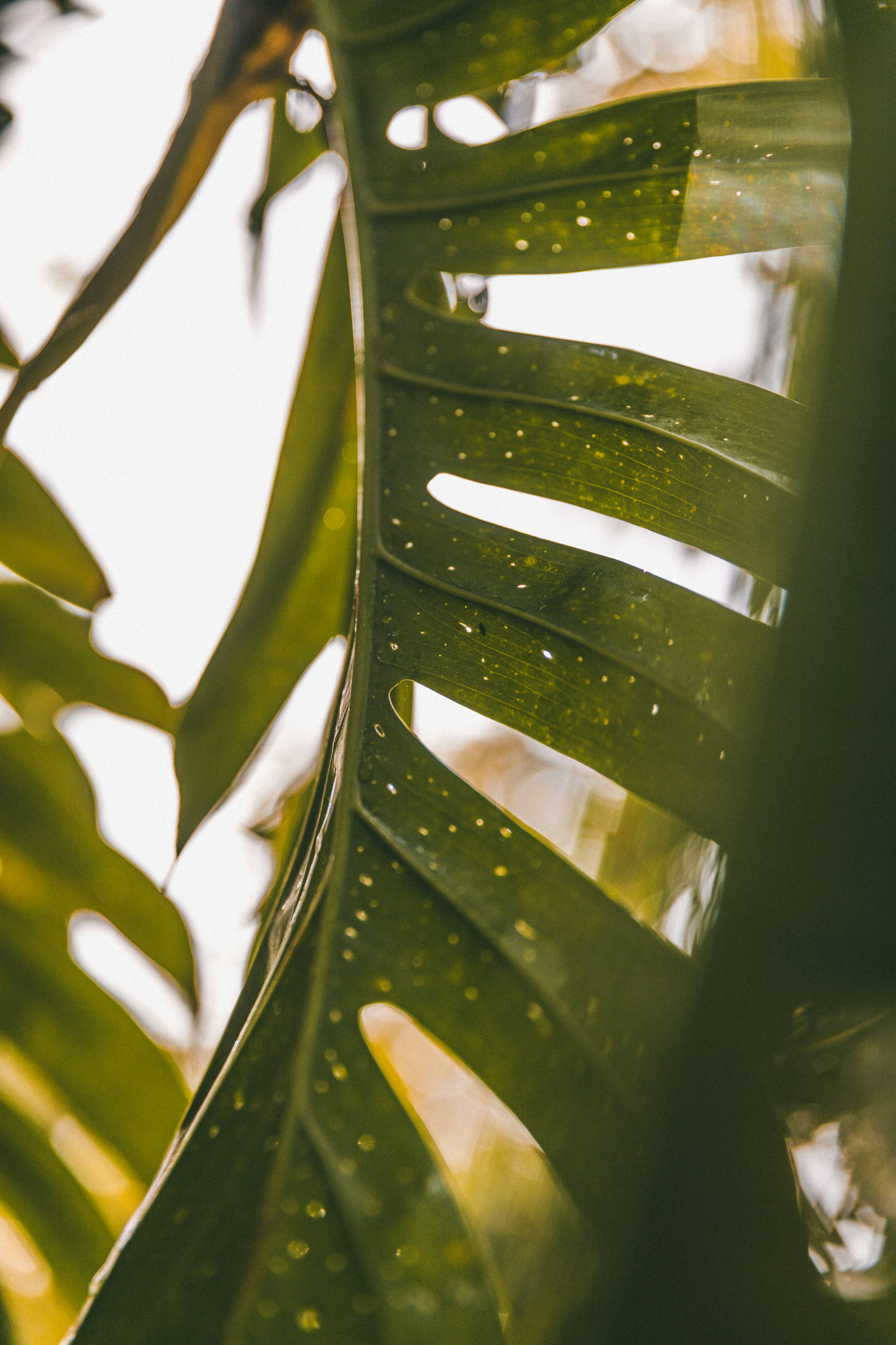 Photo by traviscolbert