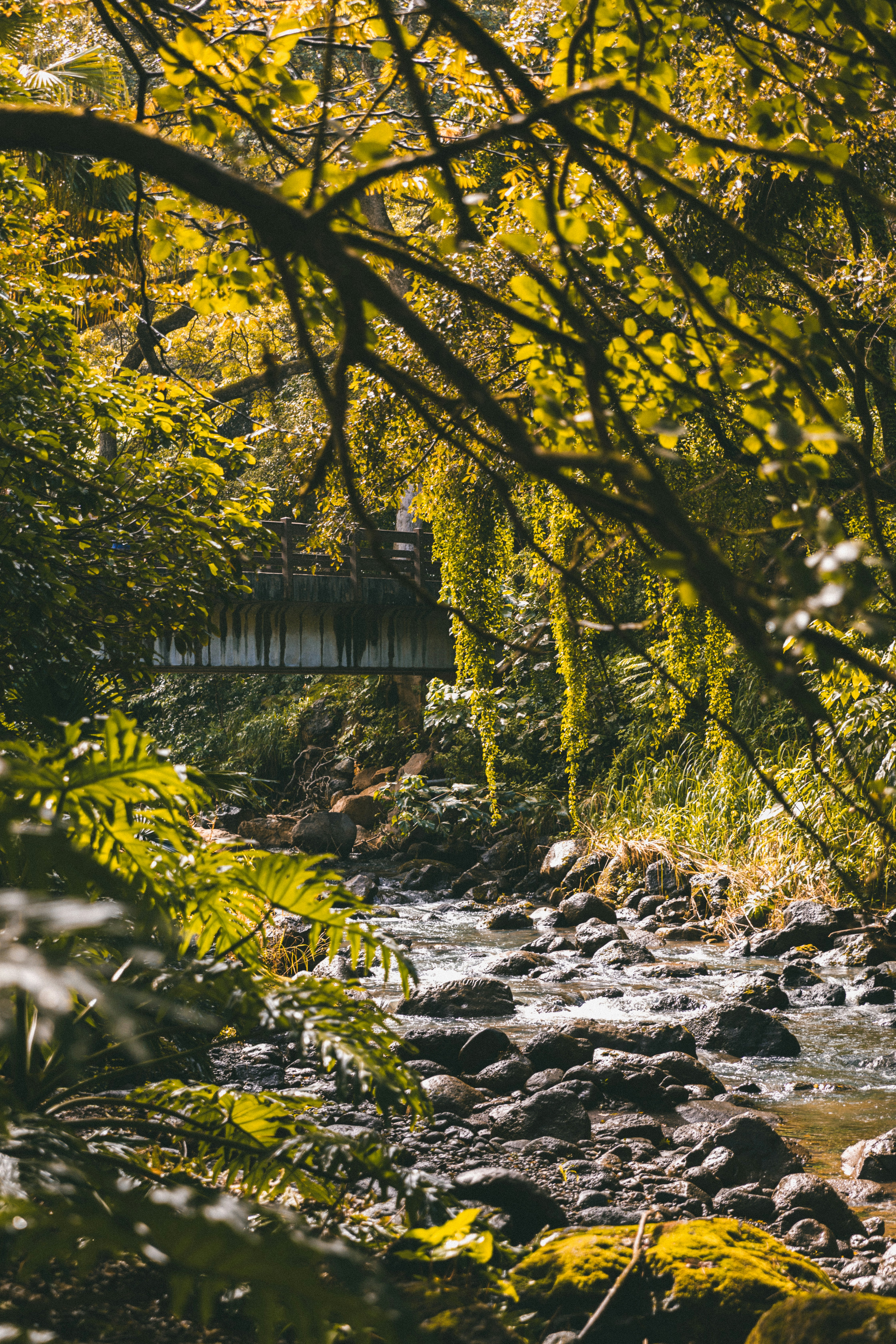 Photo by traviscolbert