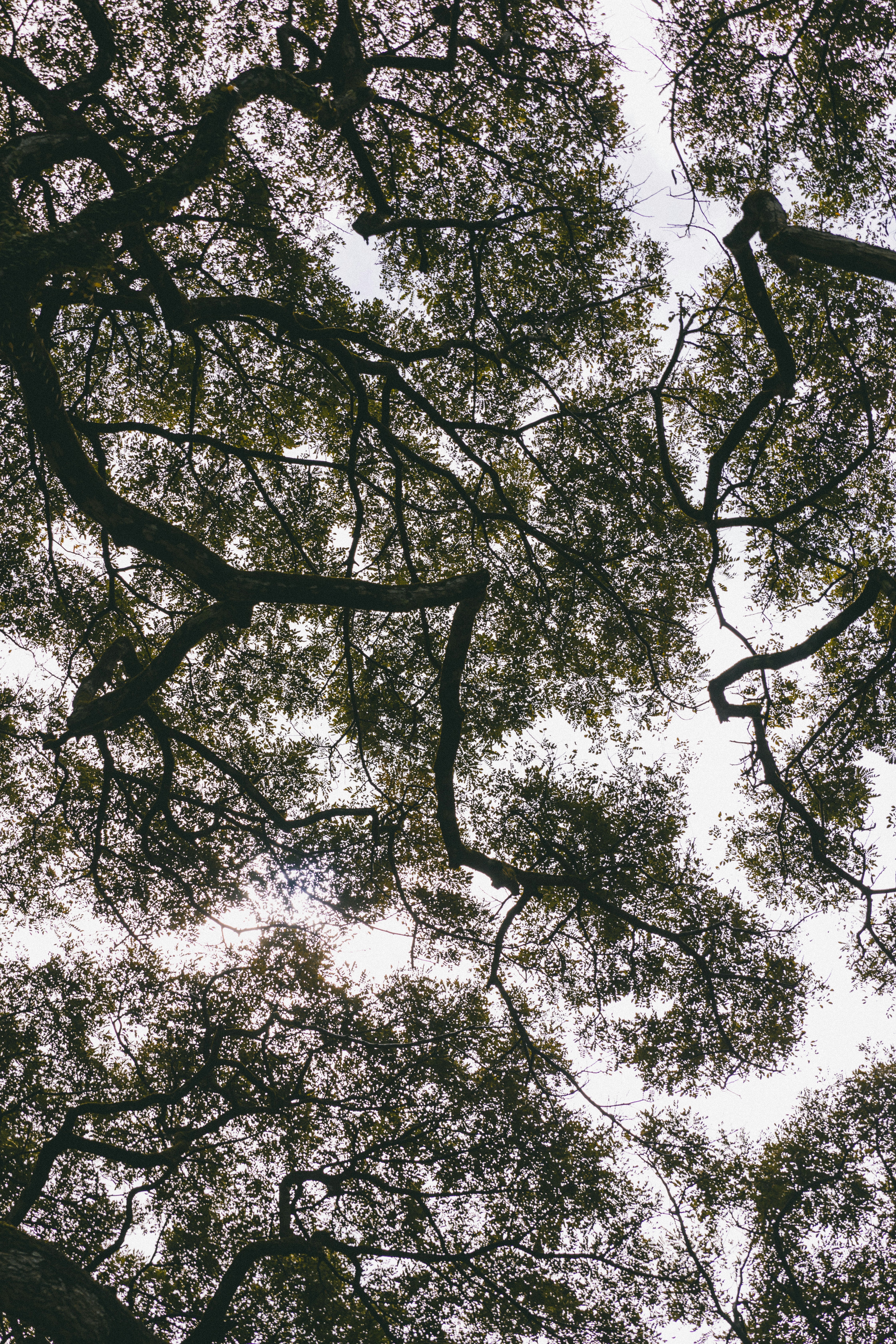 Photo by traviscolbert