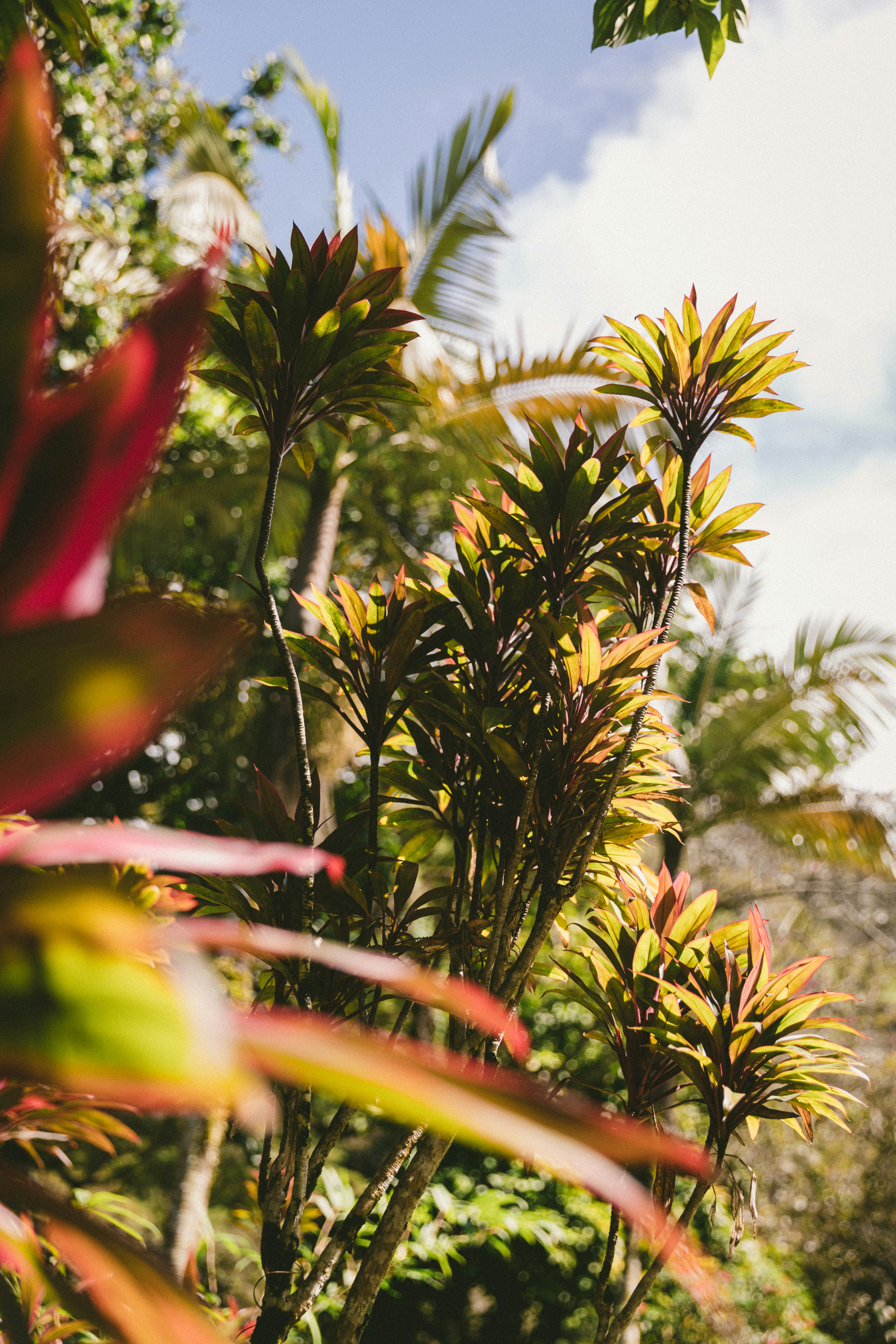 Photo by traviscolbert