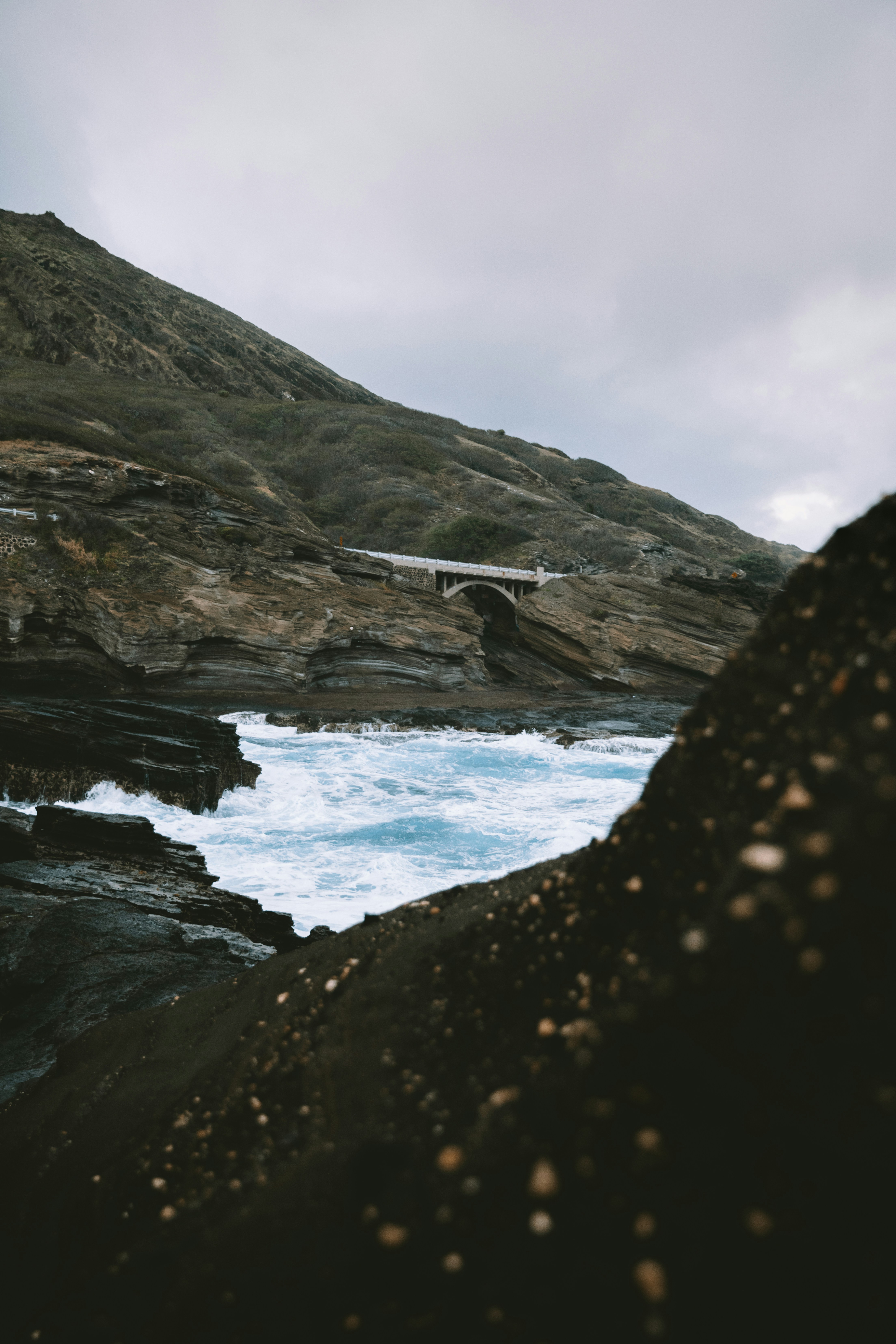 Photo by traviscolbert