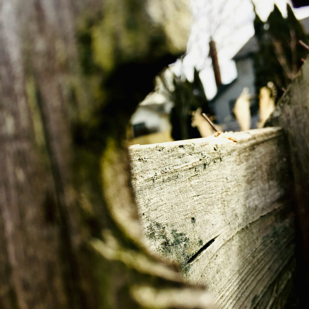 gray wooden fence during daytime