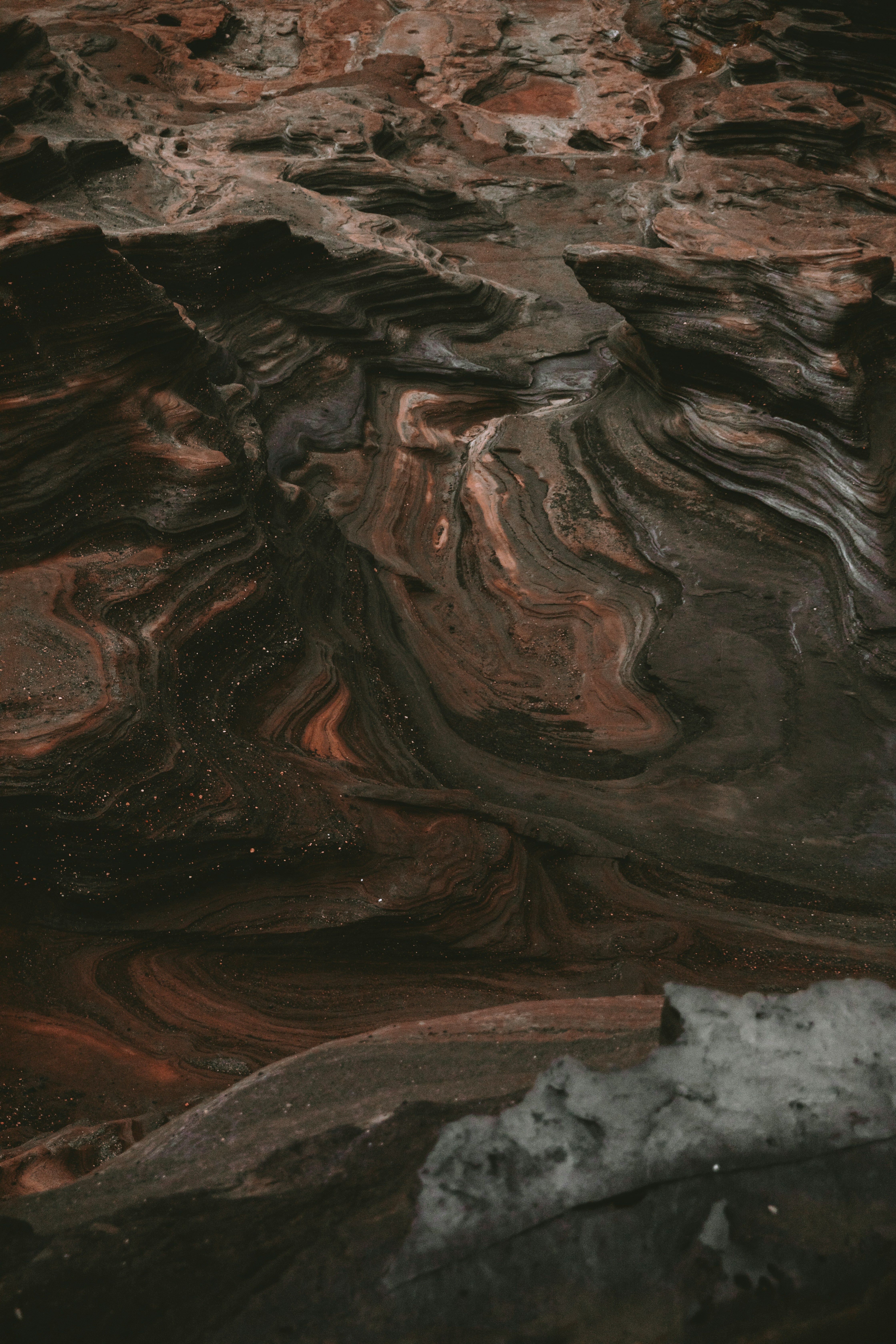 Photo by traviscolbert