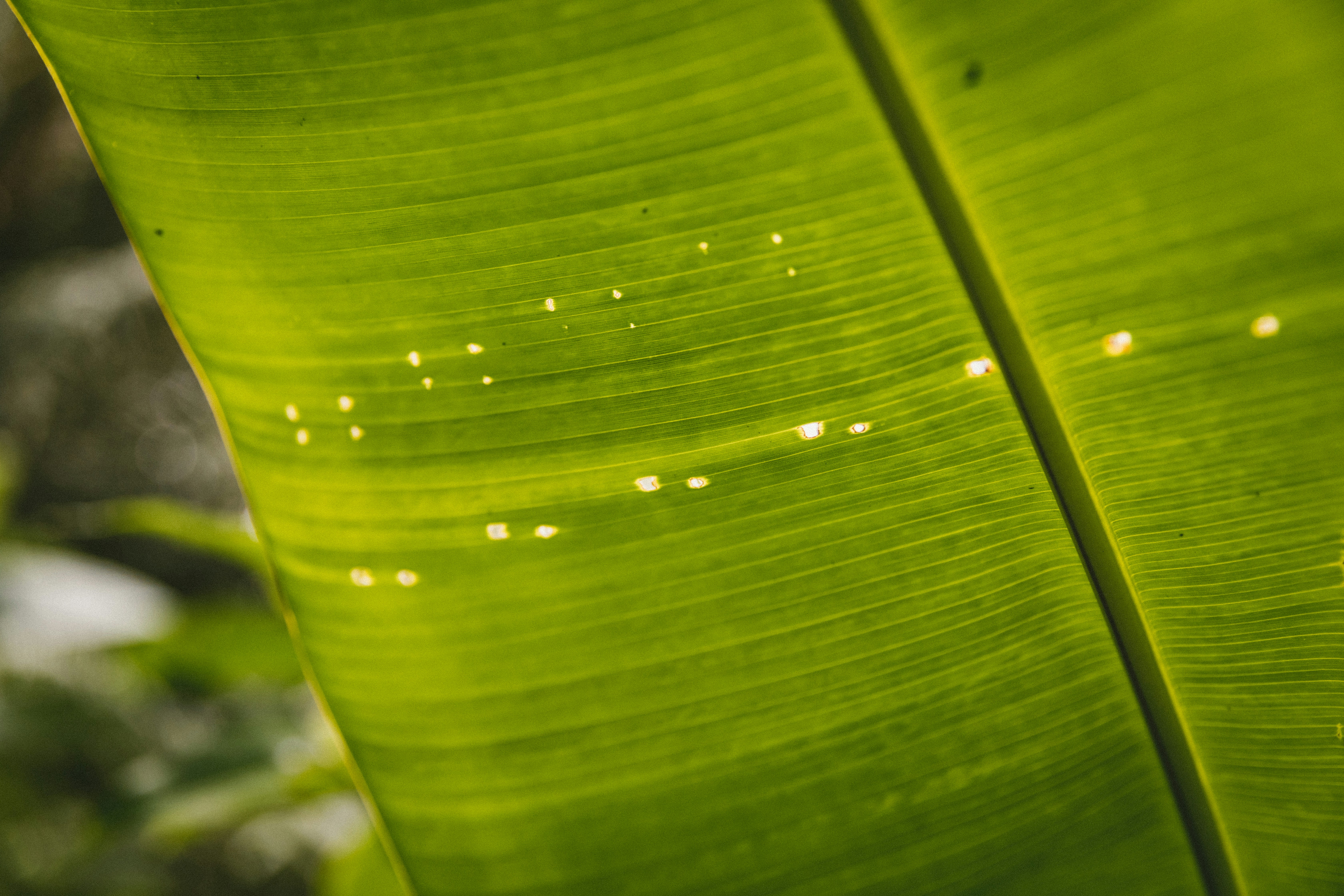 Photo by traviscolbert